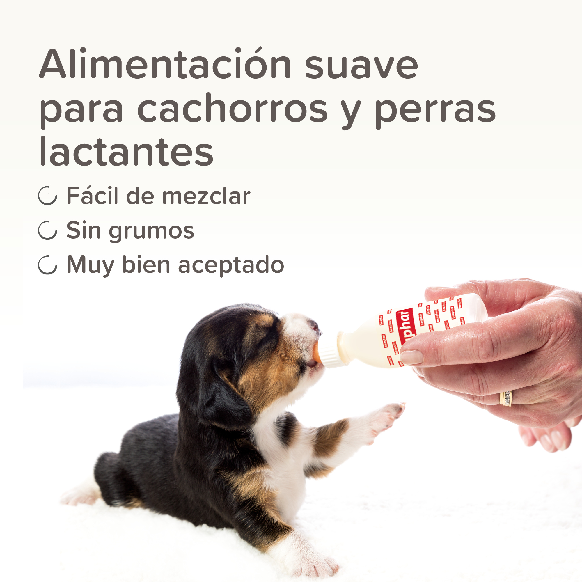 Beaphar Lactol - Leche de  sustitución Cachorros - 500g
