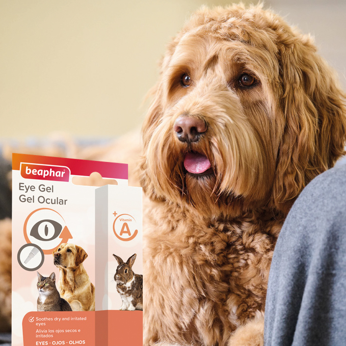 Beaphar Eye Gel Dog & Cat