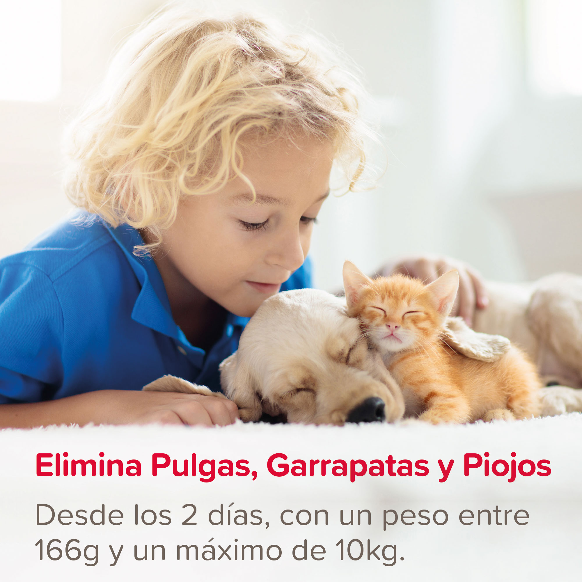 Beaphar FIPROtec®  Spray Antiparasitario Perros y Gatos - 100ml
