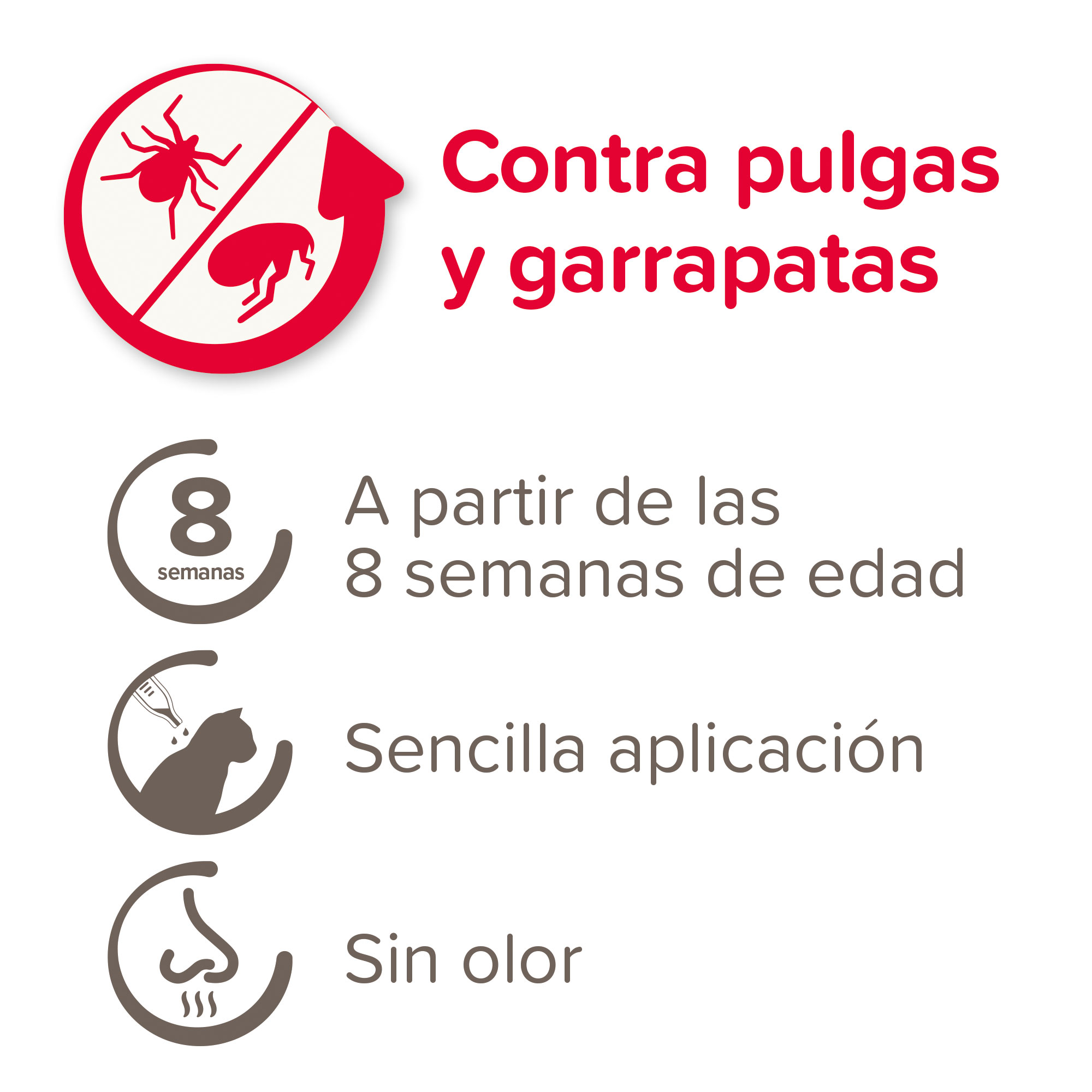 Beaphar FIPROtec® Pipeta Antiparasitaria Gatos - 1 Pipeta