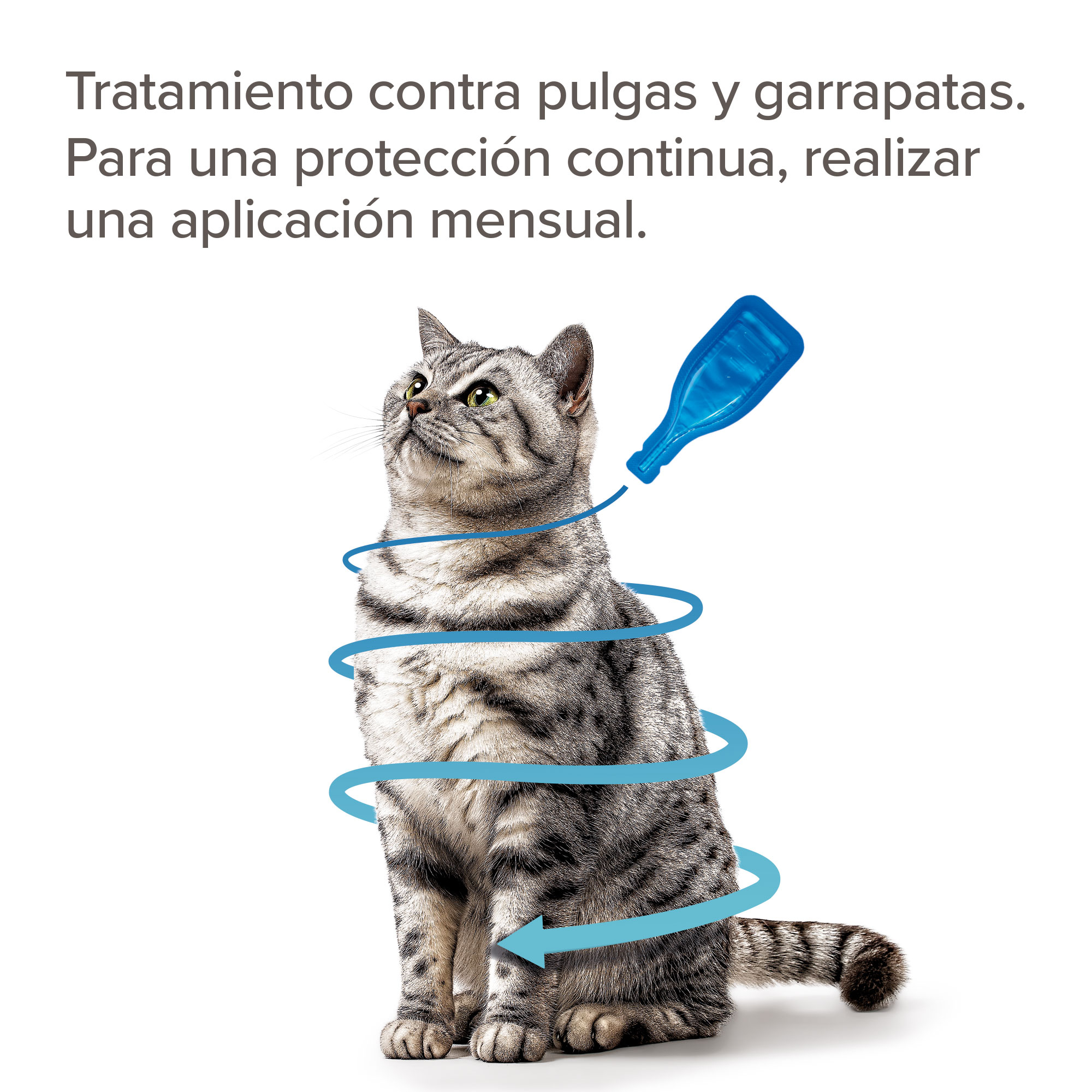 Beaphar FIPROtec® Pipeta Antiparasitaria Gatos - 1 Pipeta