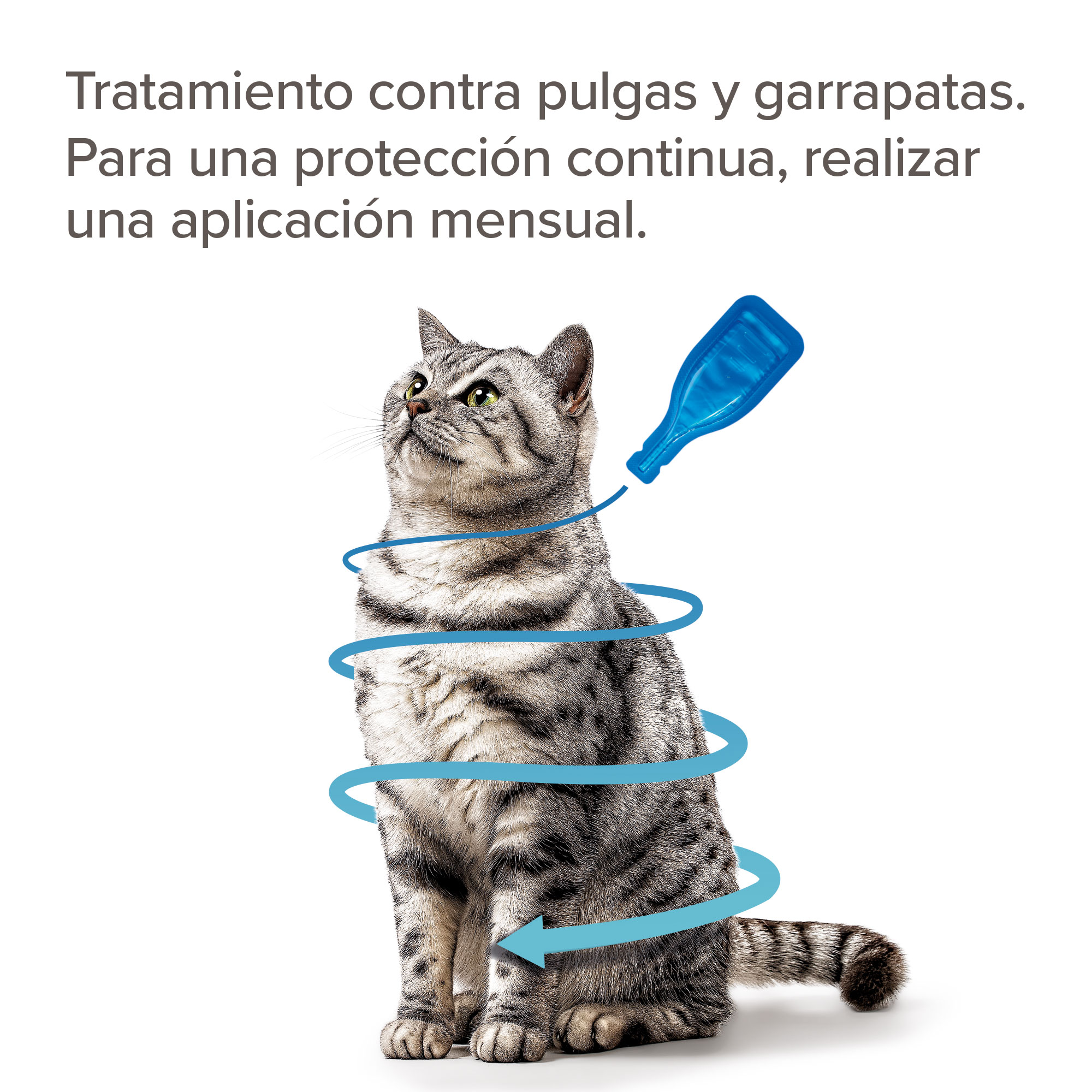 Beaphar FIPROtec® Pipeta Antiparasitaria Gatos - 4 Pipetas