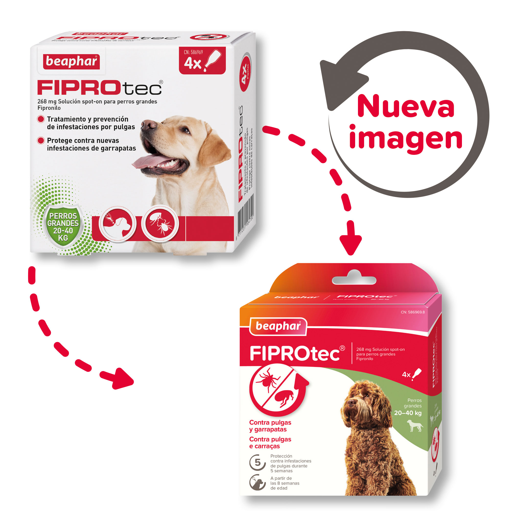 Beaphar FIPROtec® Pipeta Antiparasitaria Perro Mediano (20-40kg) - 4 Pipetas