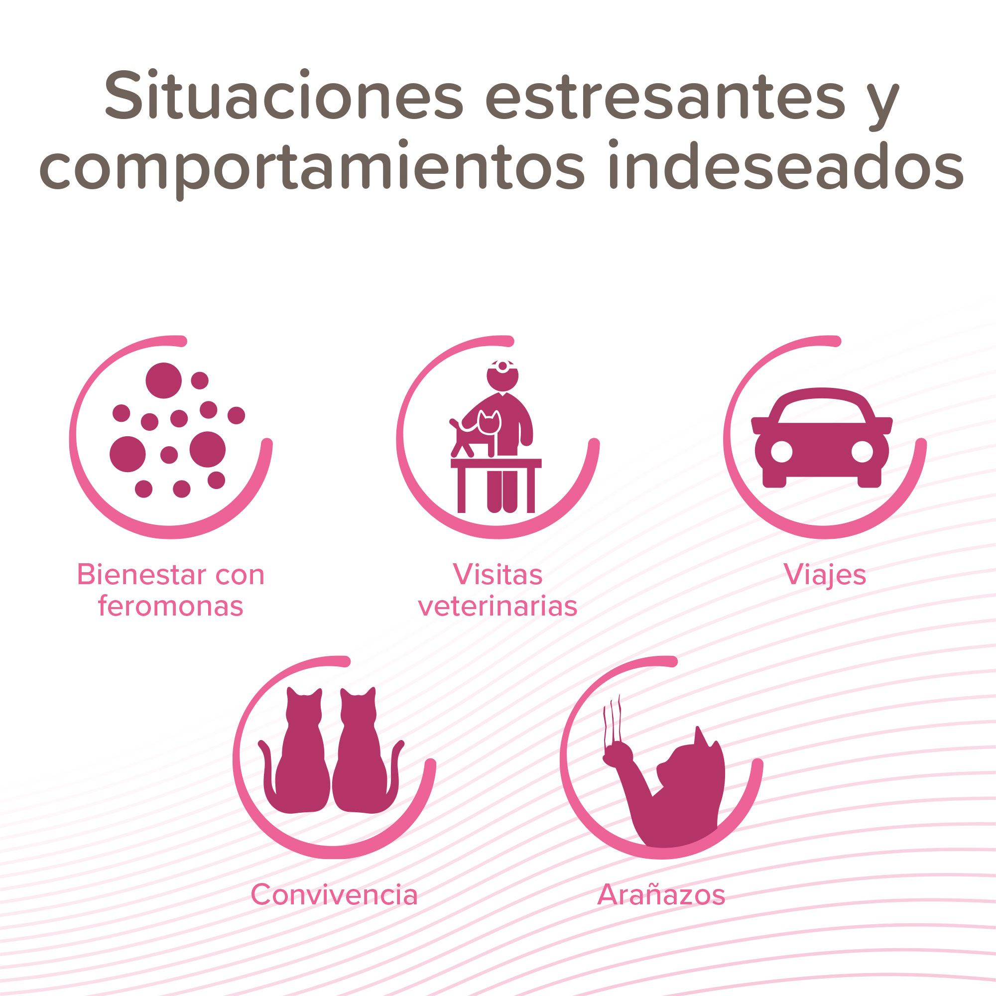 Beaphar Catcomfort® Spray Viaje Gatos - 30ml