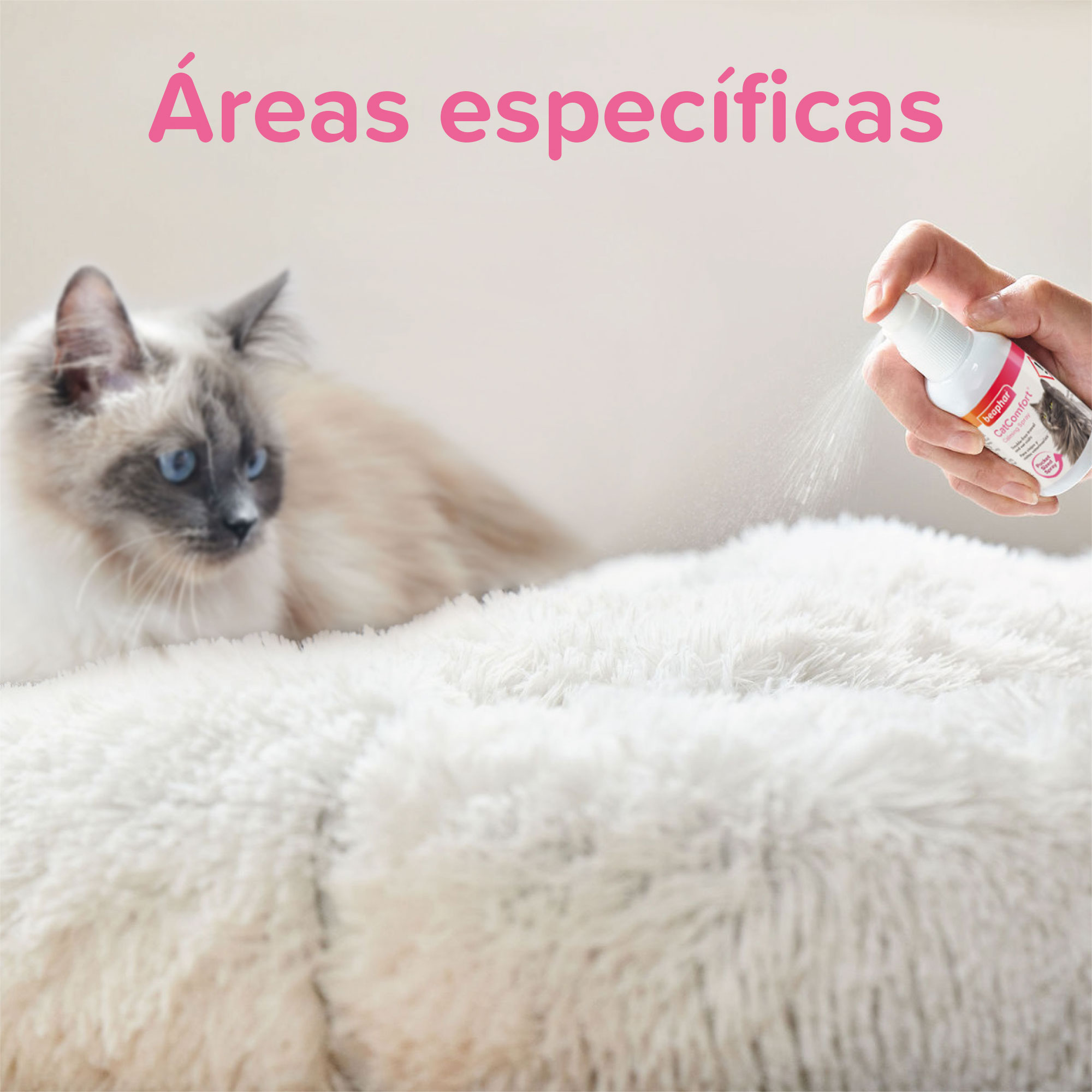 Beaphar Catcomfort® Spray Viaje Gatos - 30ml