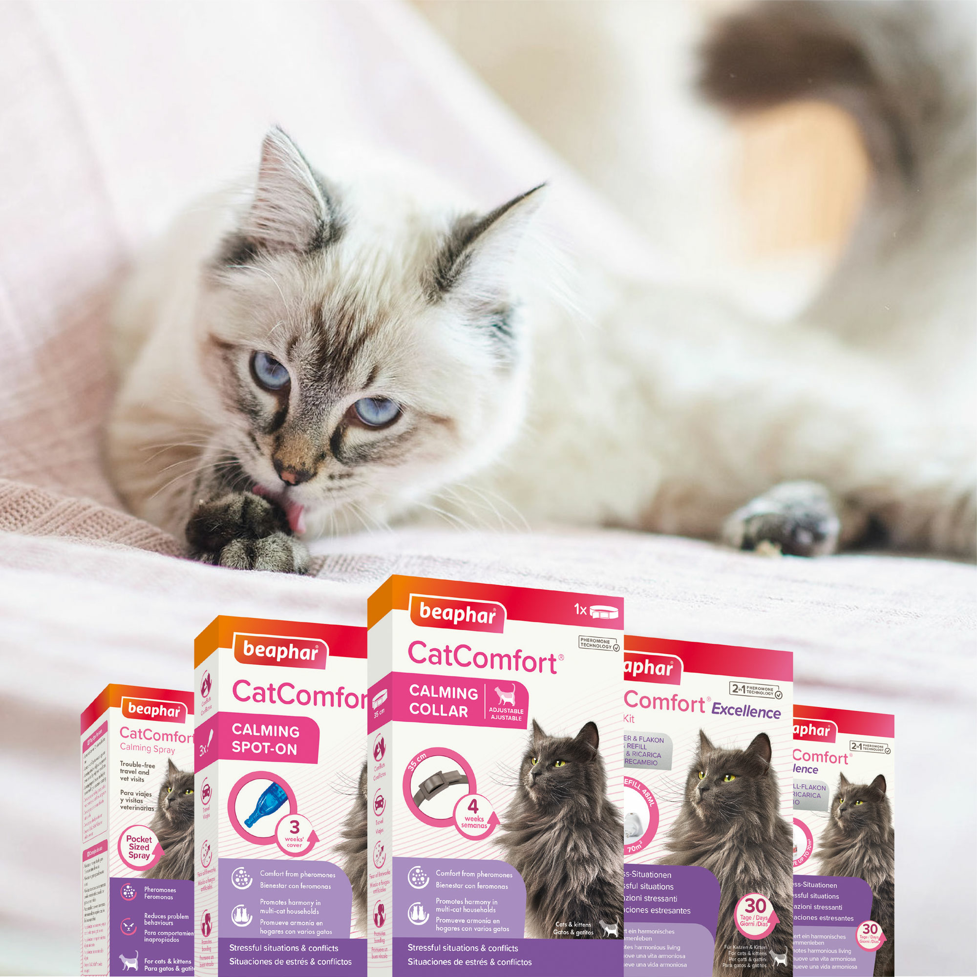 Beaphar Catcomfort® Spray Gatos - 60ml