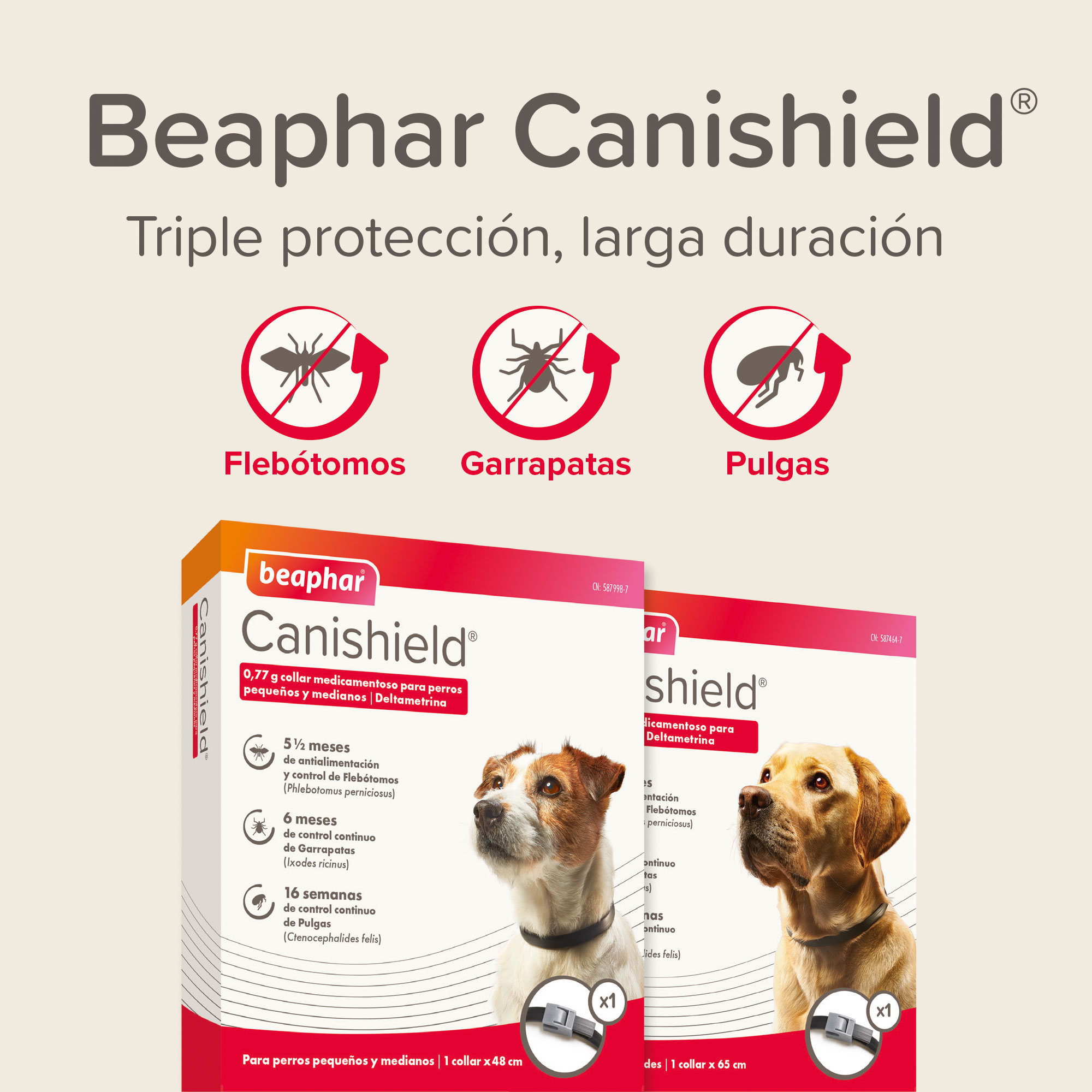 Beaphar Canishield® Collar Antiparasitario Perro Grande - 65cm