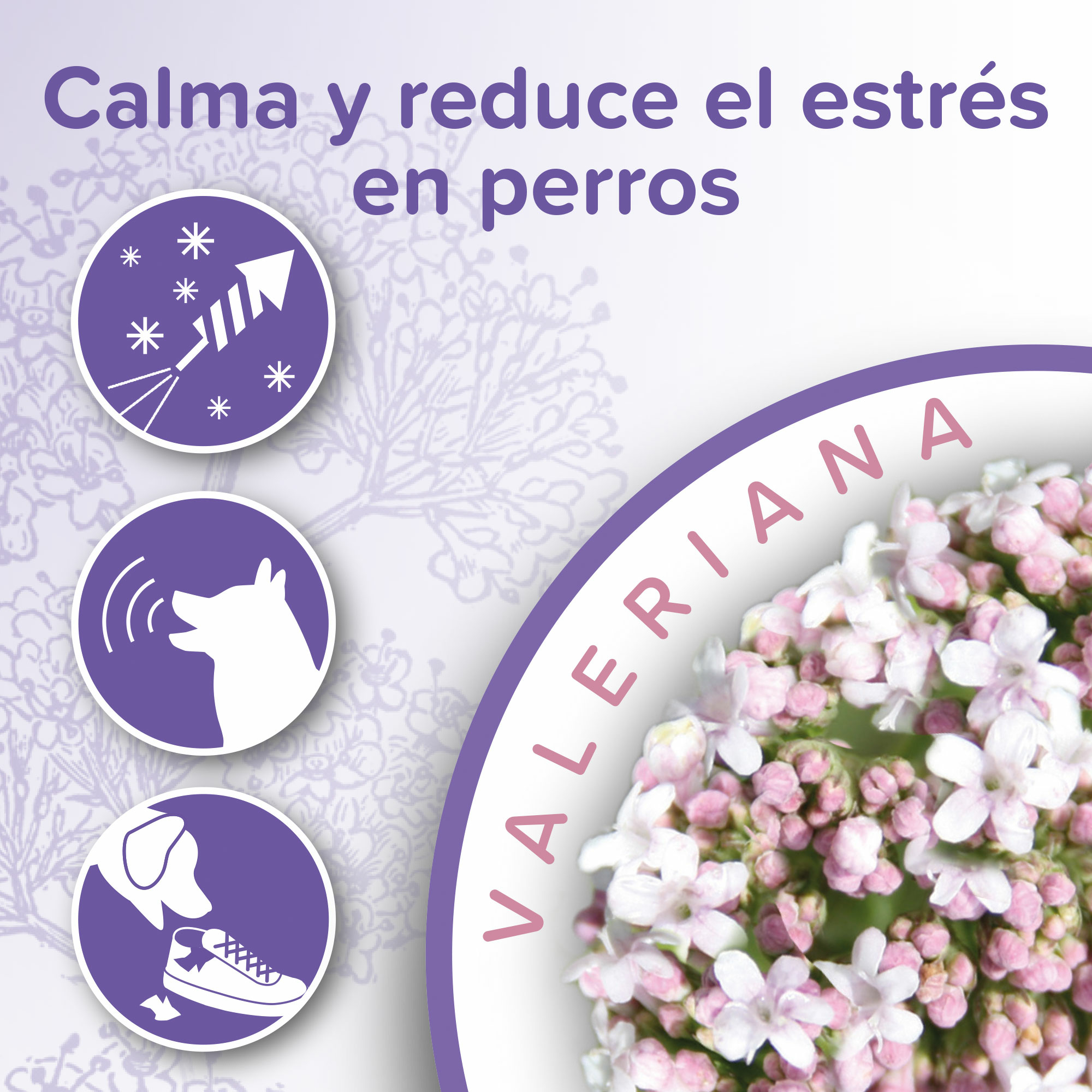Beaphar Calming Collar Perro - 65cm