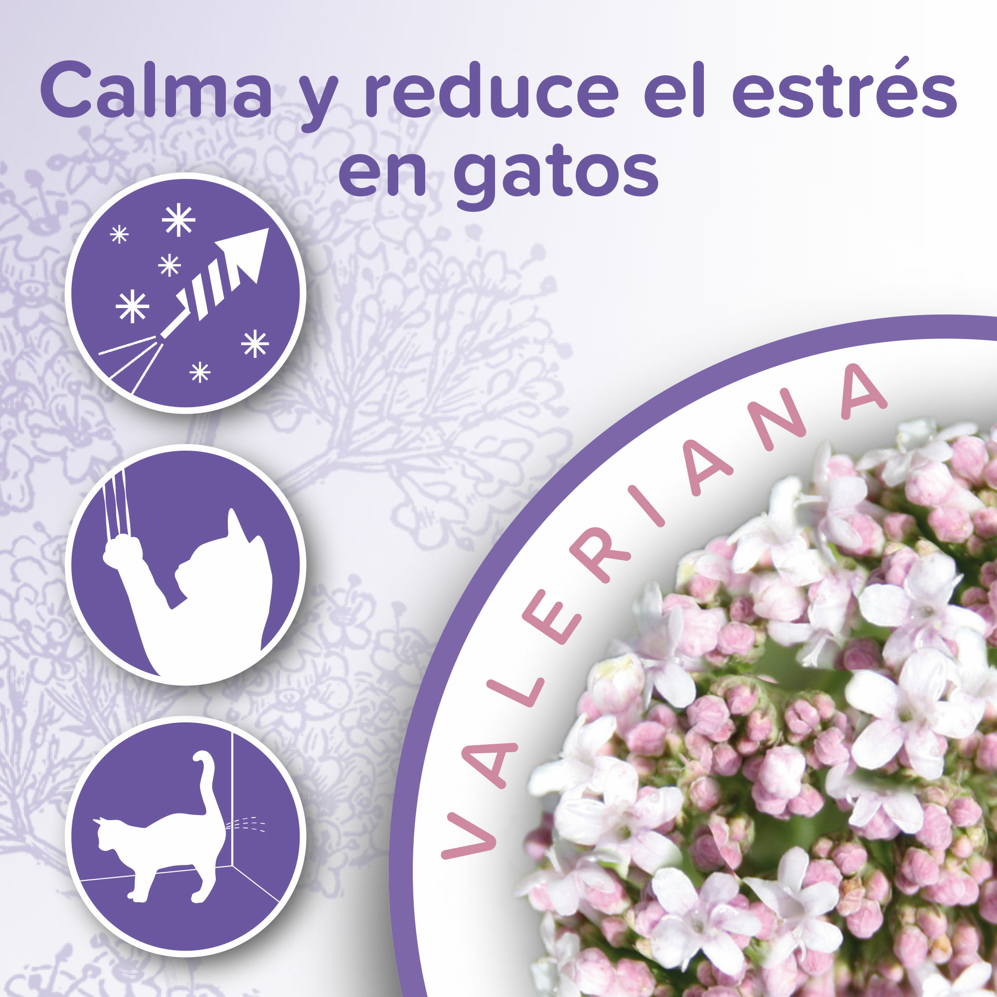 Beaphar Calming Collar Gato - 35 cm