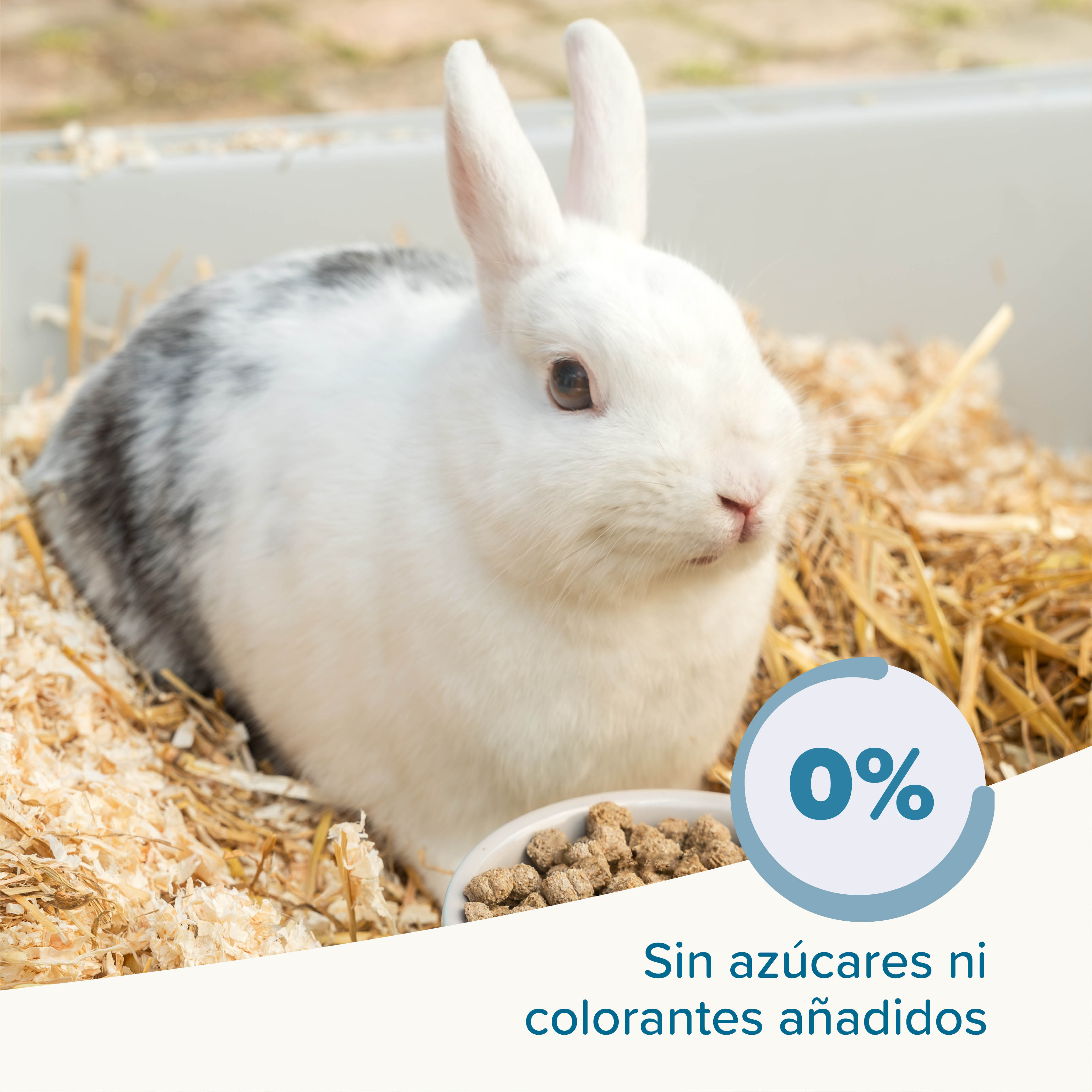 Beaphar Care+ Conejo Junior - 1,5kg