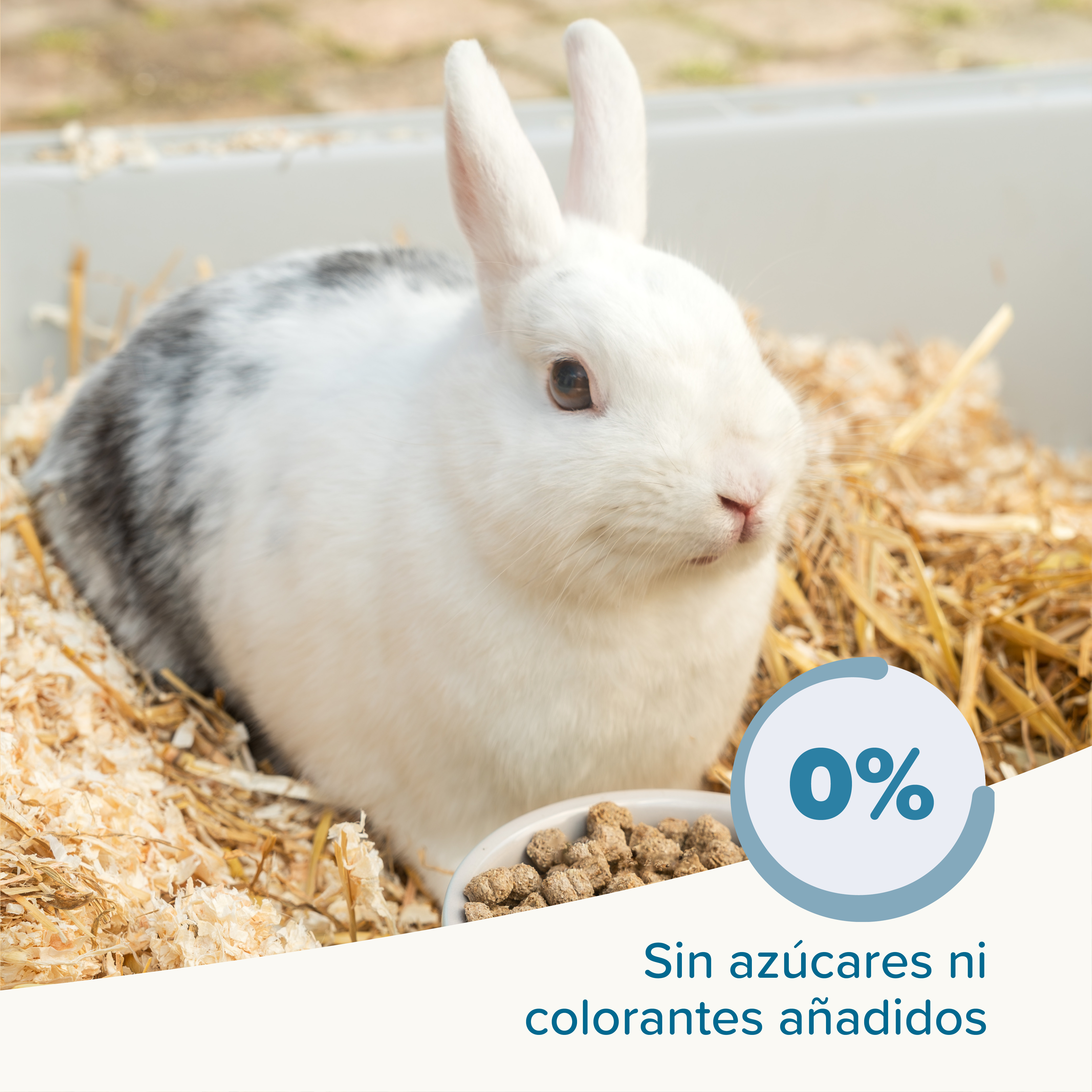 Beaphar Care+ Conejo Senior - 1,5kg