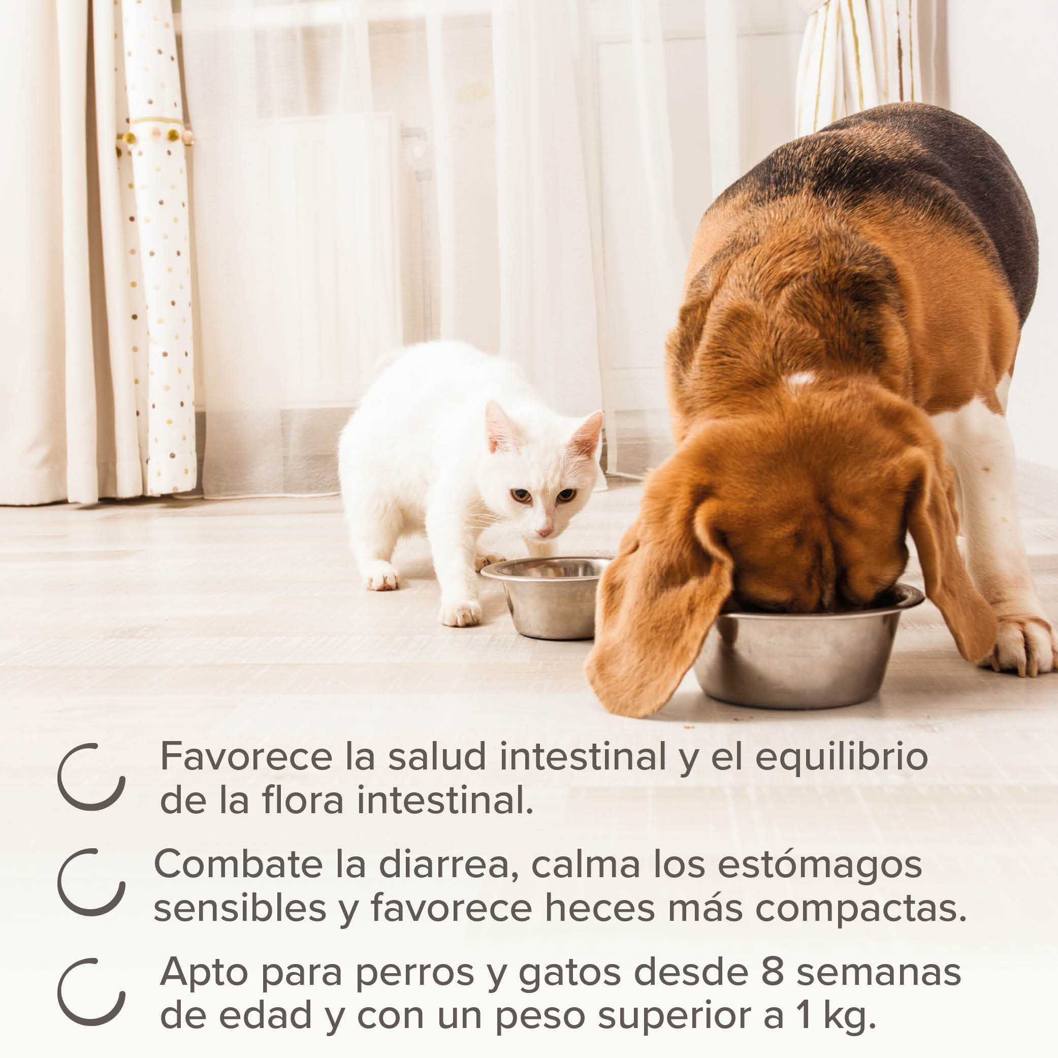 Beaphar IntestoPro Regulador Intestinal en Pasta Cachorros / Perros Pequeños / Gatos - 20ml