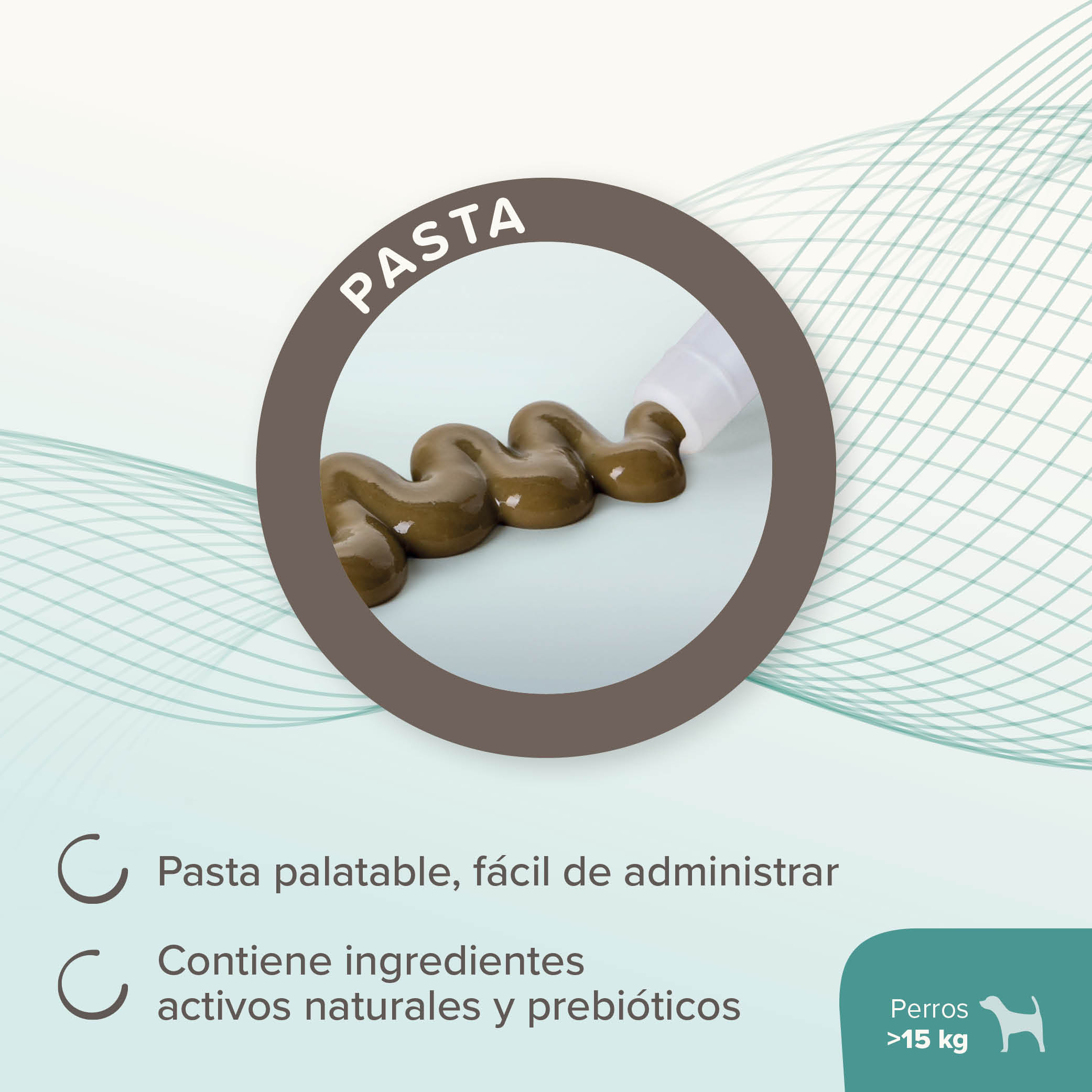 Beaphar IntestoPro Regulador Intestinal en Pasta Perros Grandes - 20ml