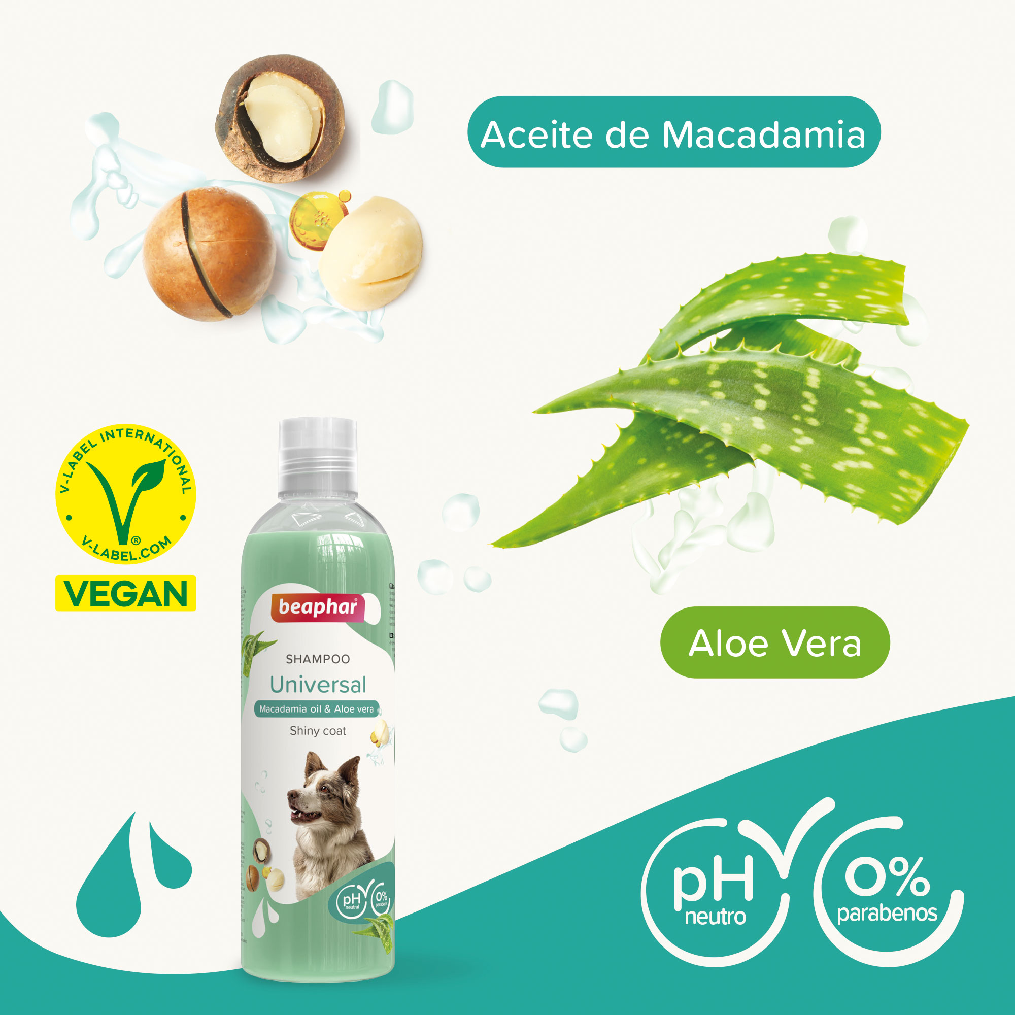 Champú Perros Universal - 250ml