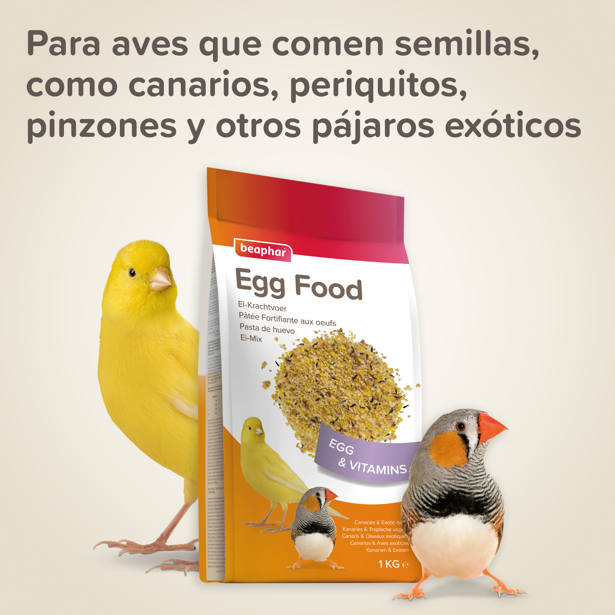 Beaphar Pasta de Huevo para Canarios y Aves Exóticas - 1kg