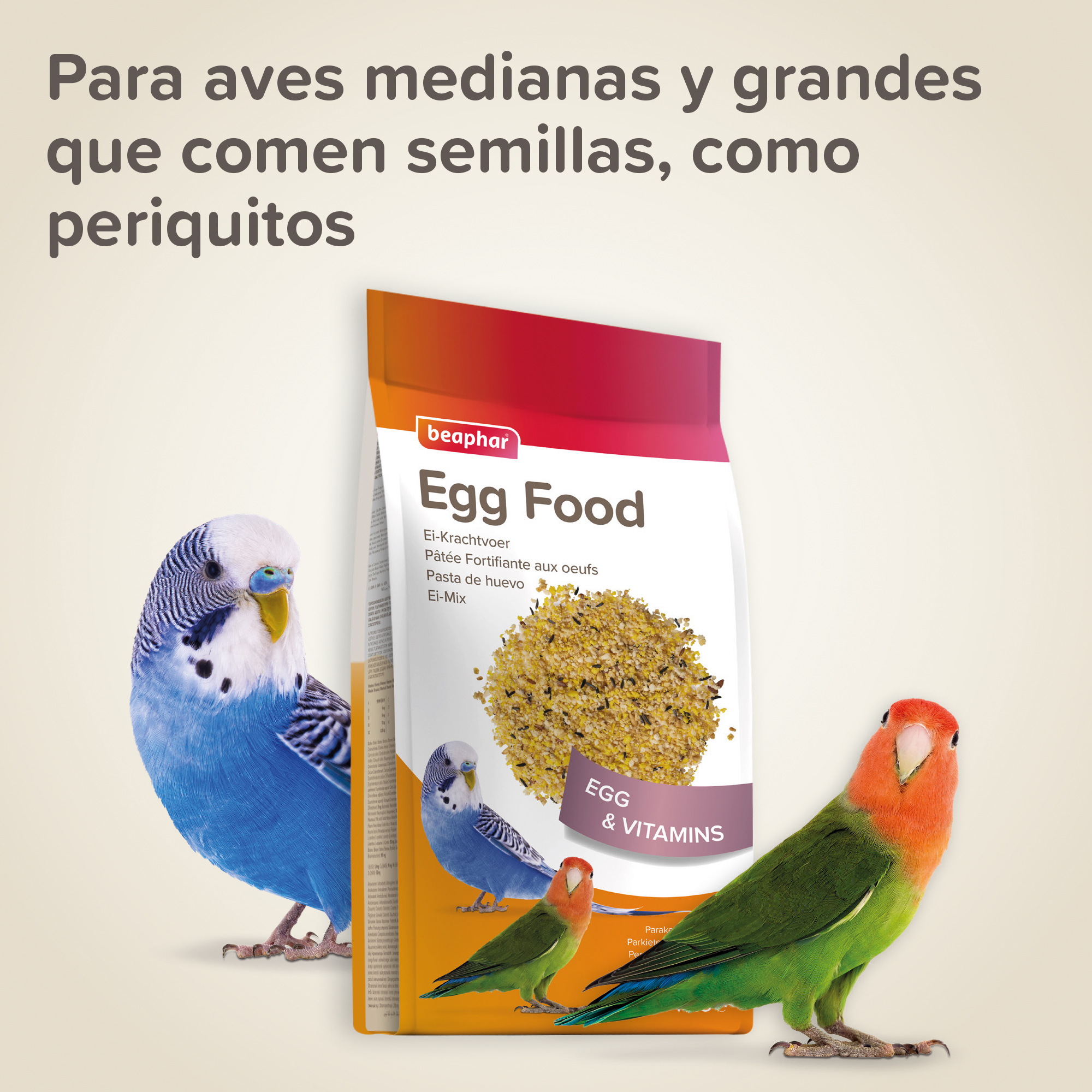 Beaphar Pasta de Huevo Periquitos, Agapornis, Pequeñas Cotorras - 1kg