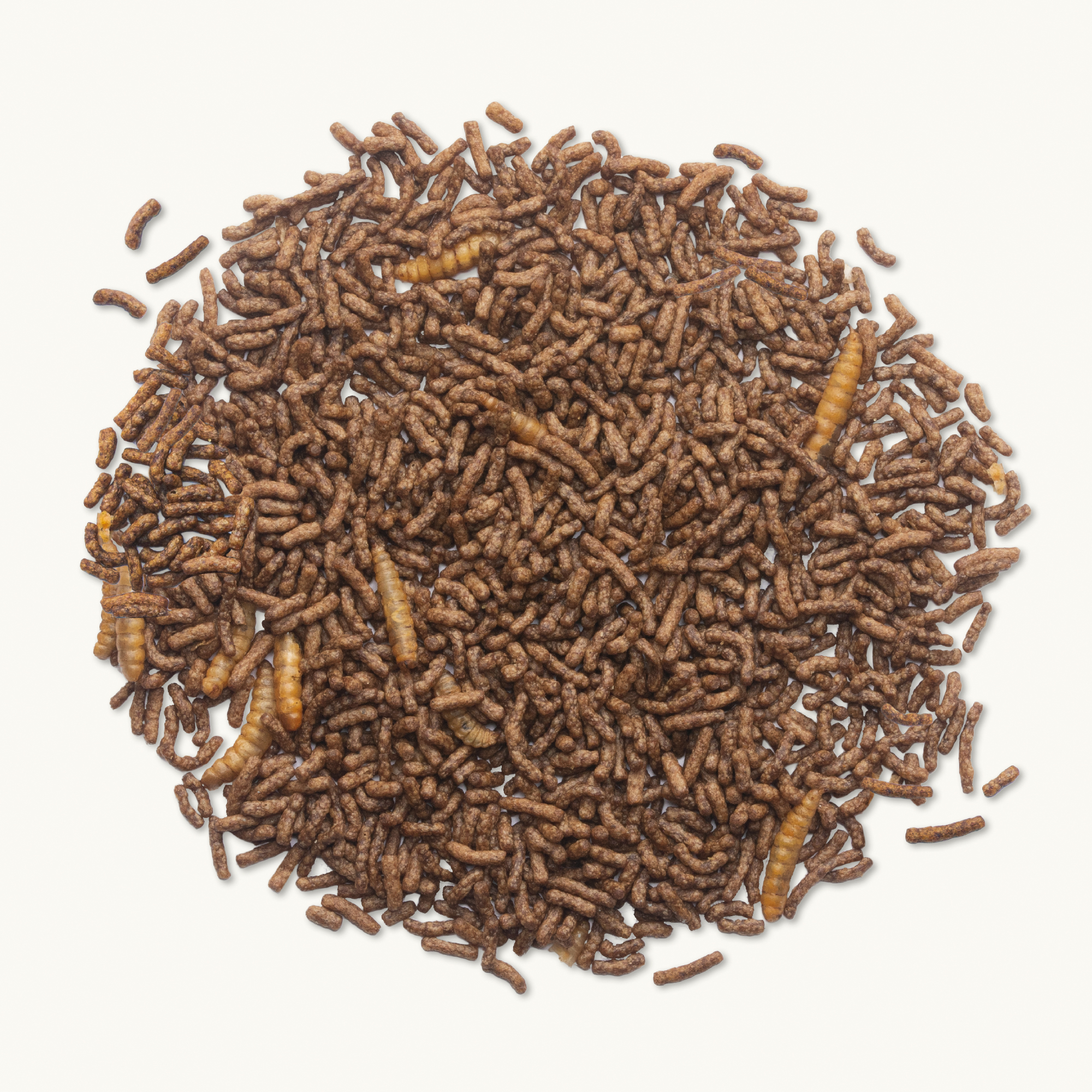 Alimentación completa para Erizos - 1KG