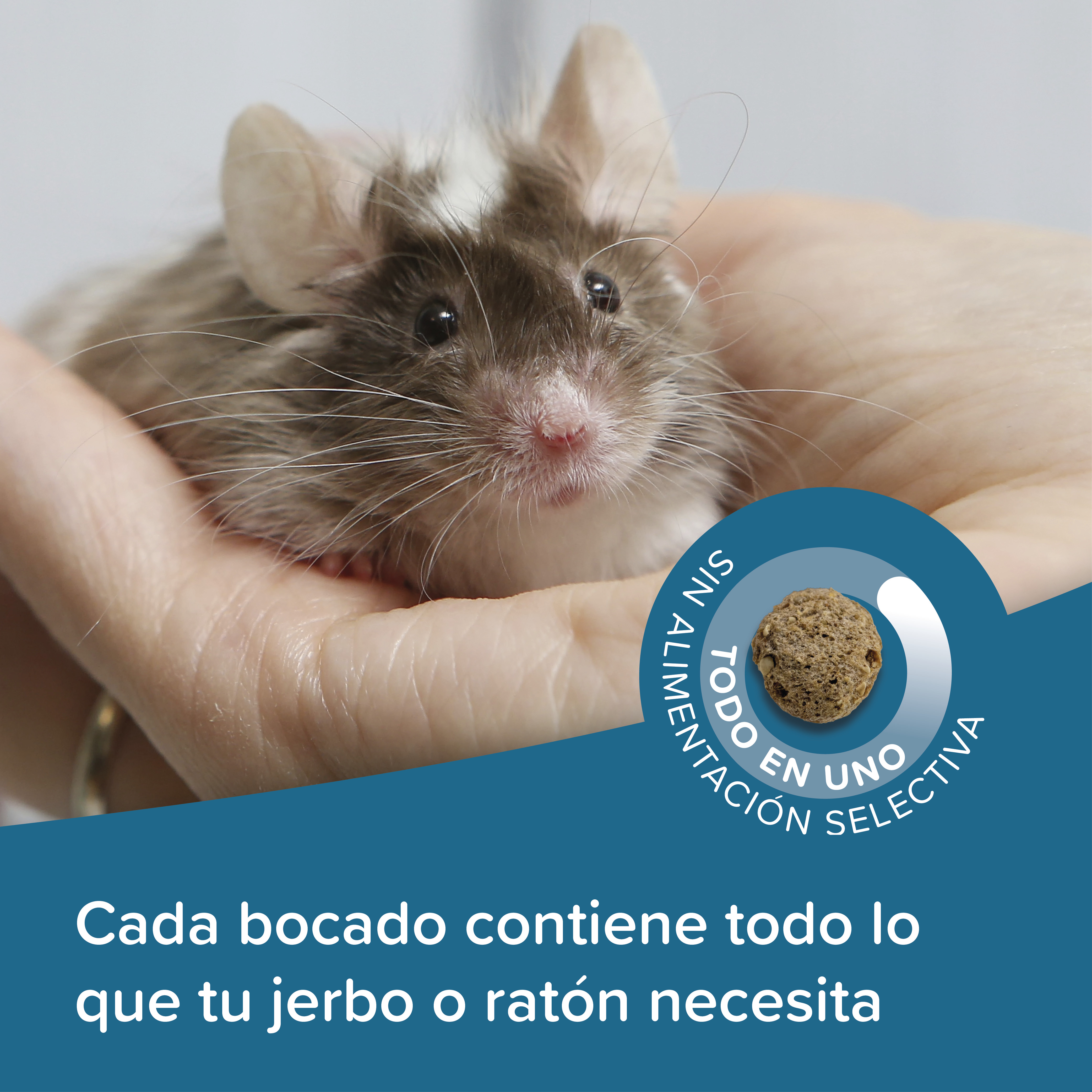 Beaphar Care+  Ratón y Jerbo, 500 g