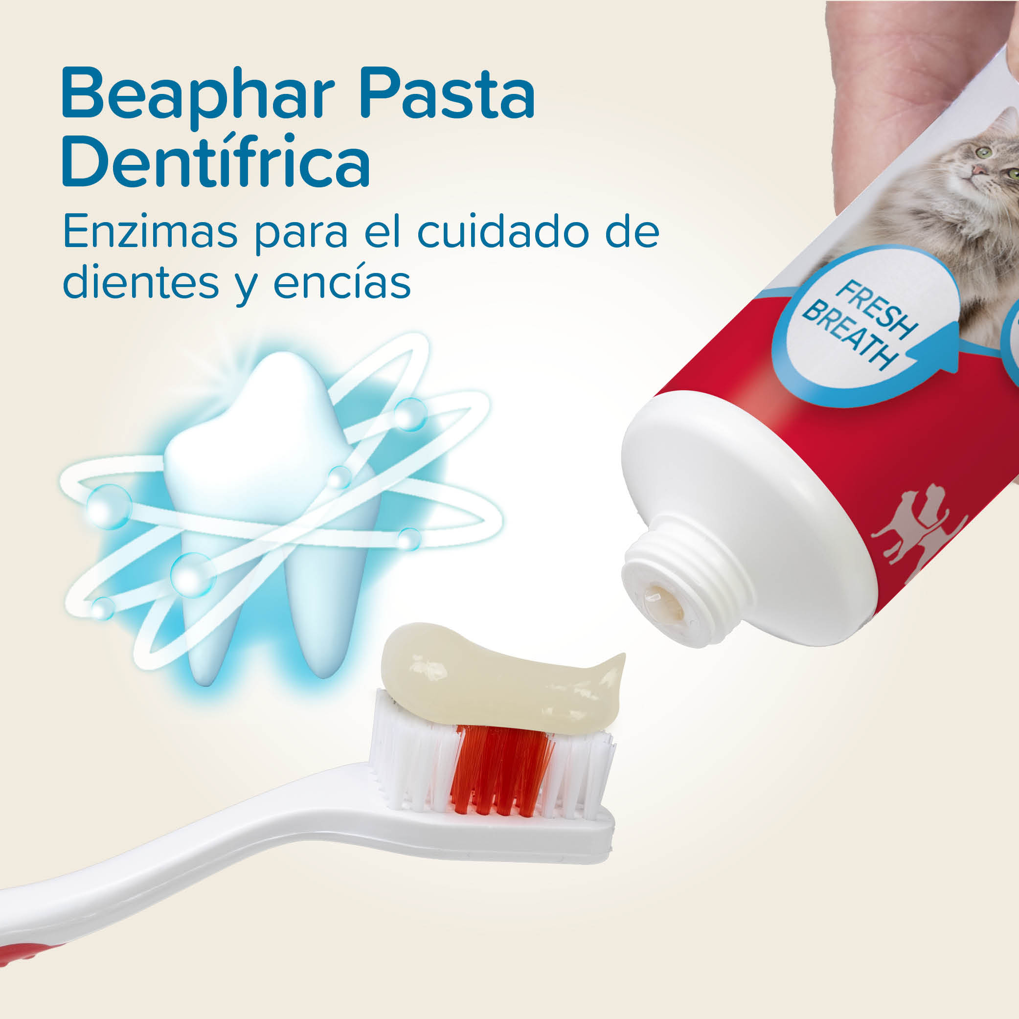 Beaphar Pack Dental: Pasta Dental+ Cepillo Dental