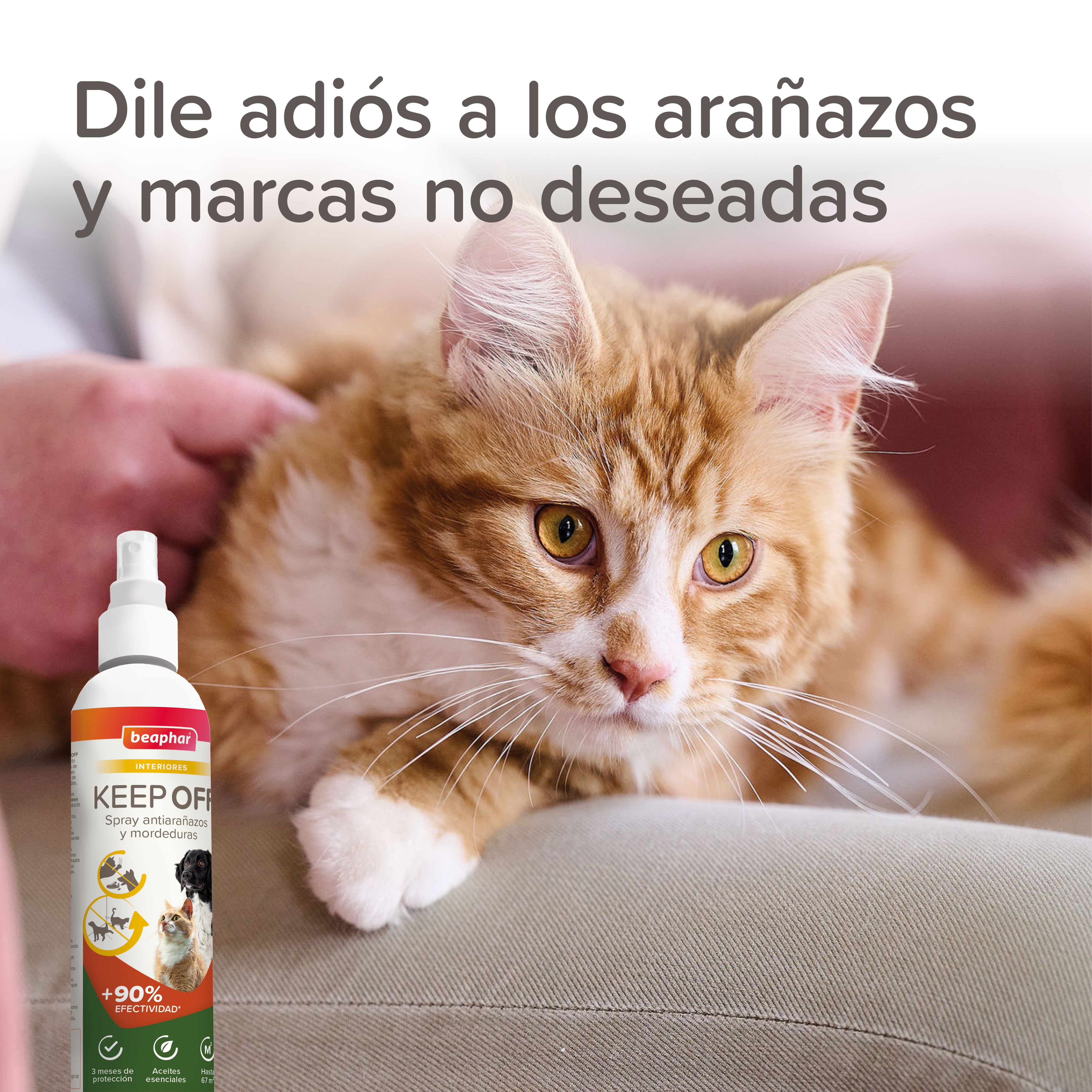 Beaphar Keep Off Spray Educador Interiores - 200ml