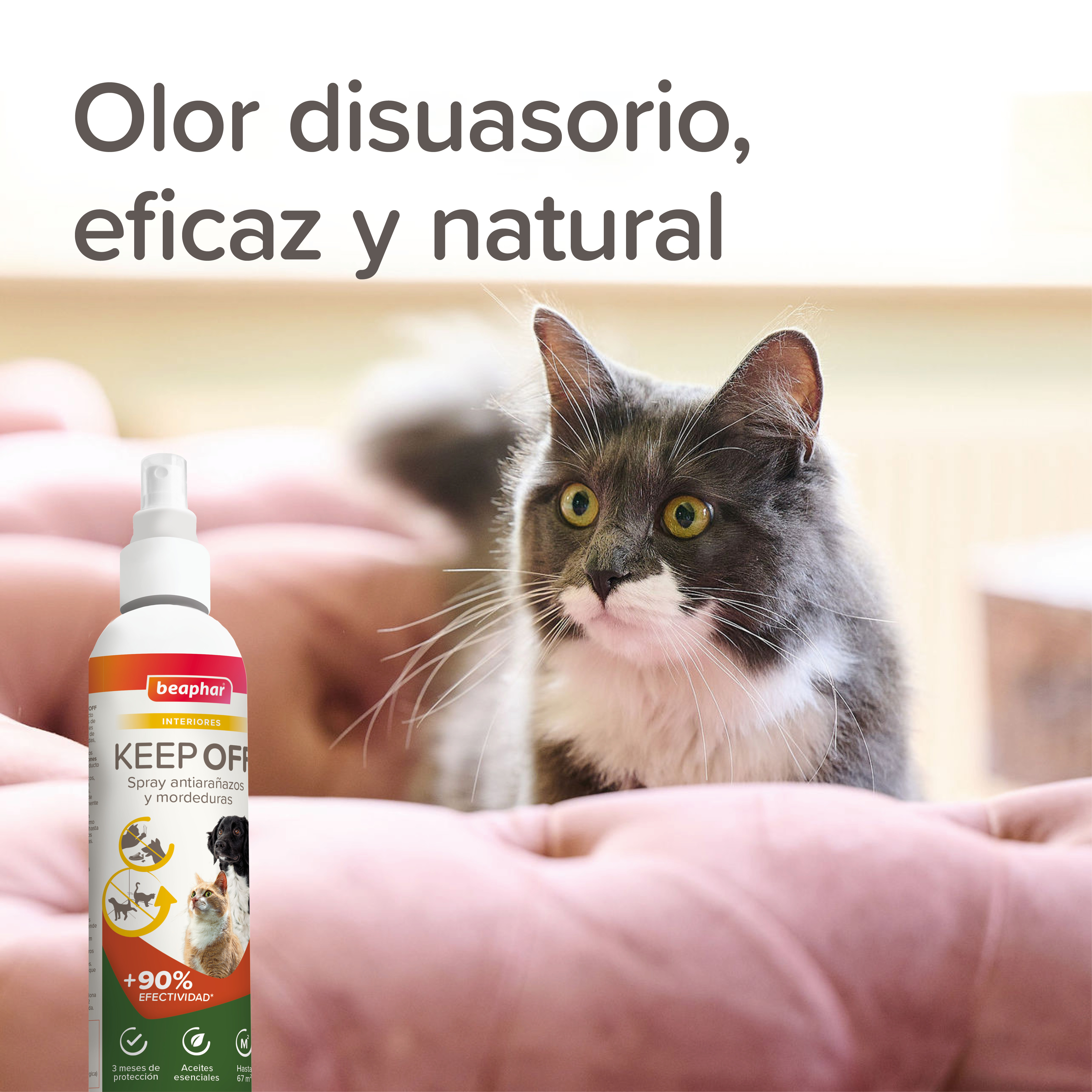 Beaphar Keep Off Spray Educador Interiores - 200ml