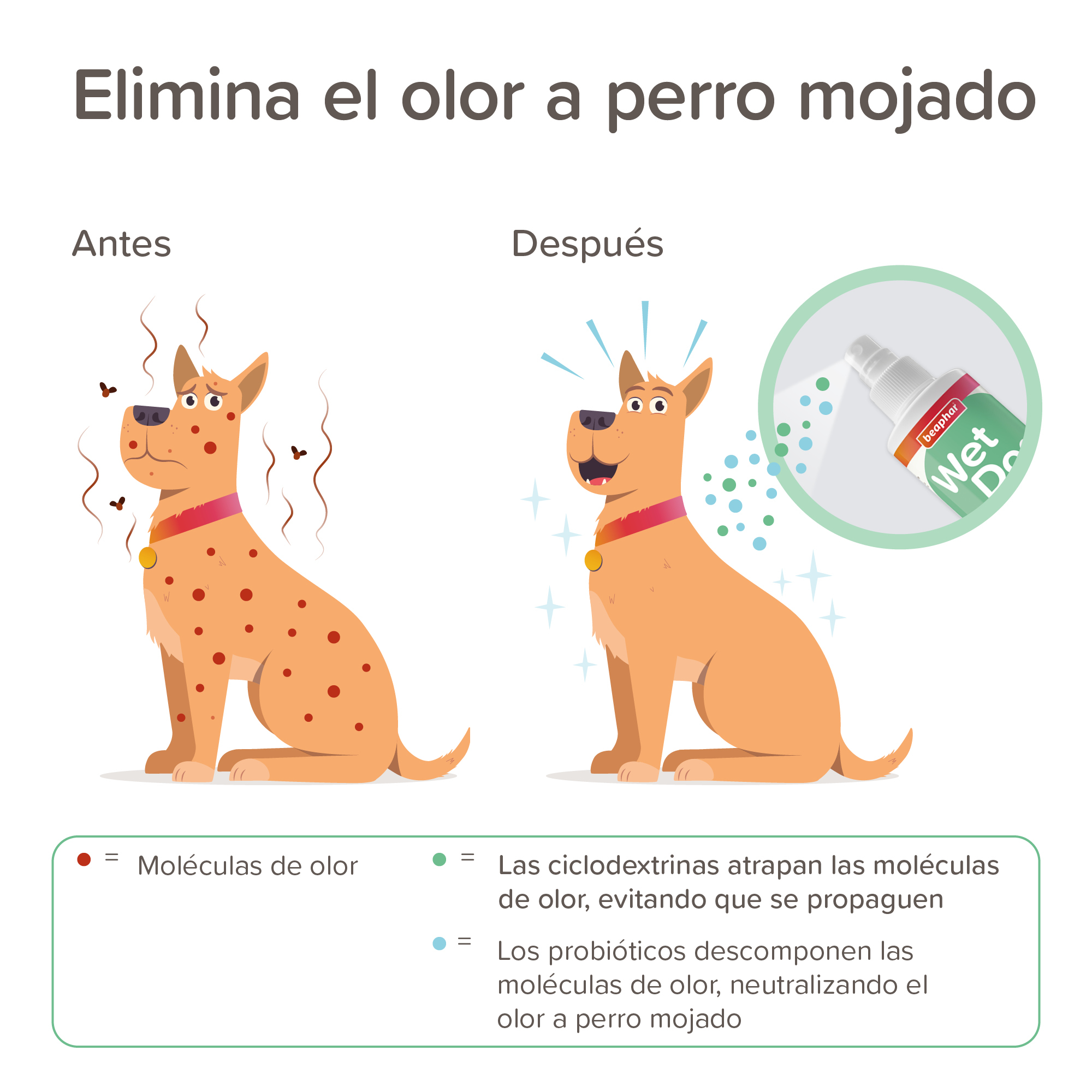 Beaphar Wet Dog Spray Anti-Olor Perro Mojado - 250ml