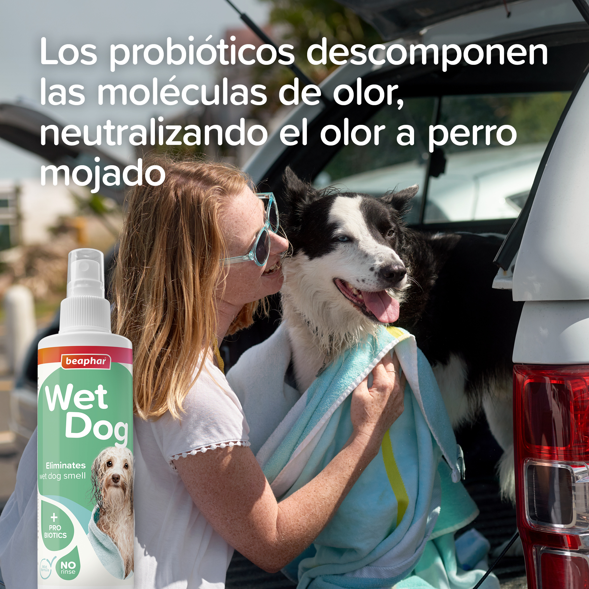 Beaphar Wet Dog Spray Anti-Olor Perro Mojado - 250ml