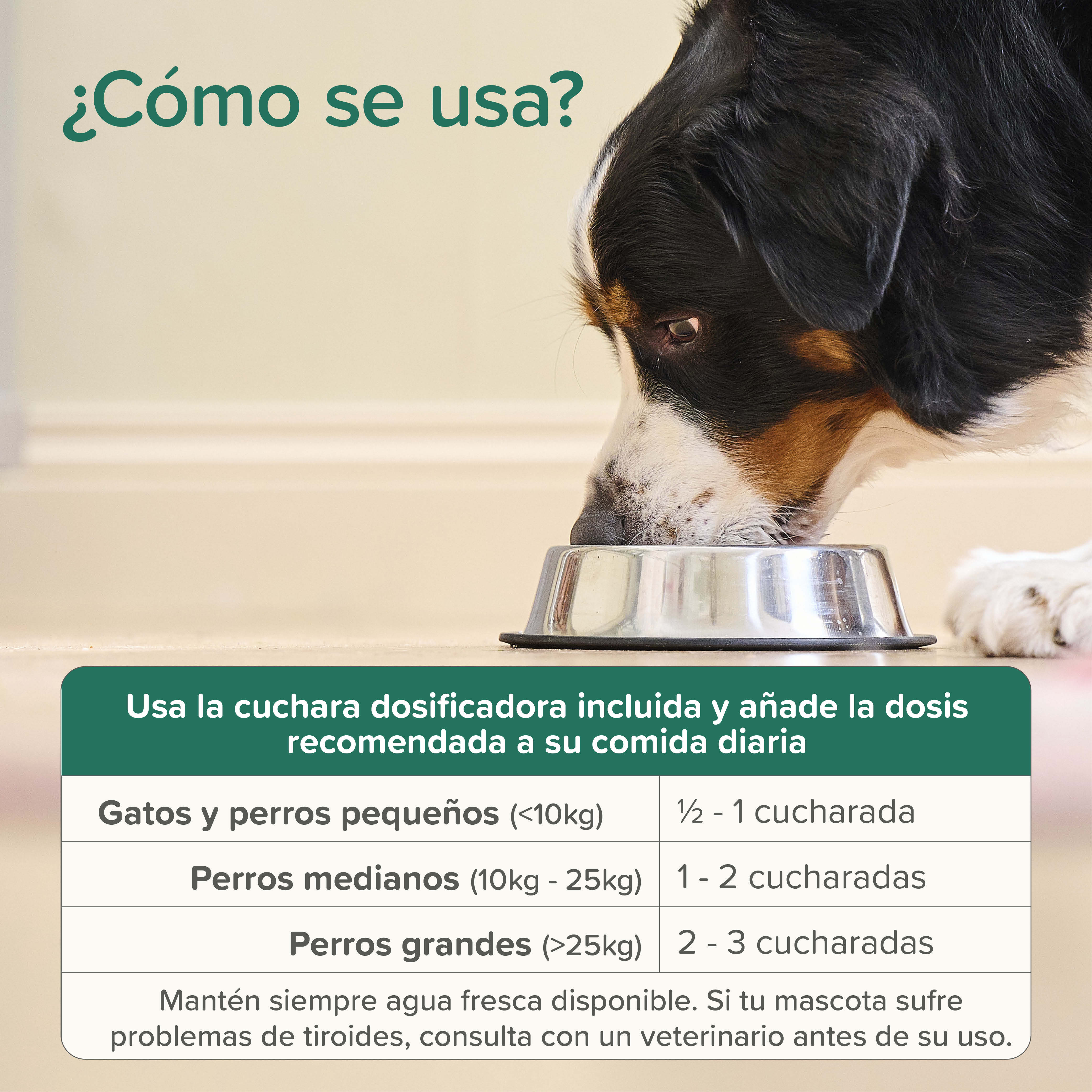 Beaphar Plaque Away Polvos Dentales Perros y Gatos - 80g
