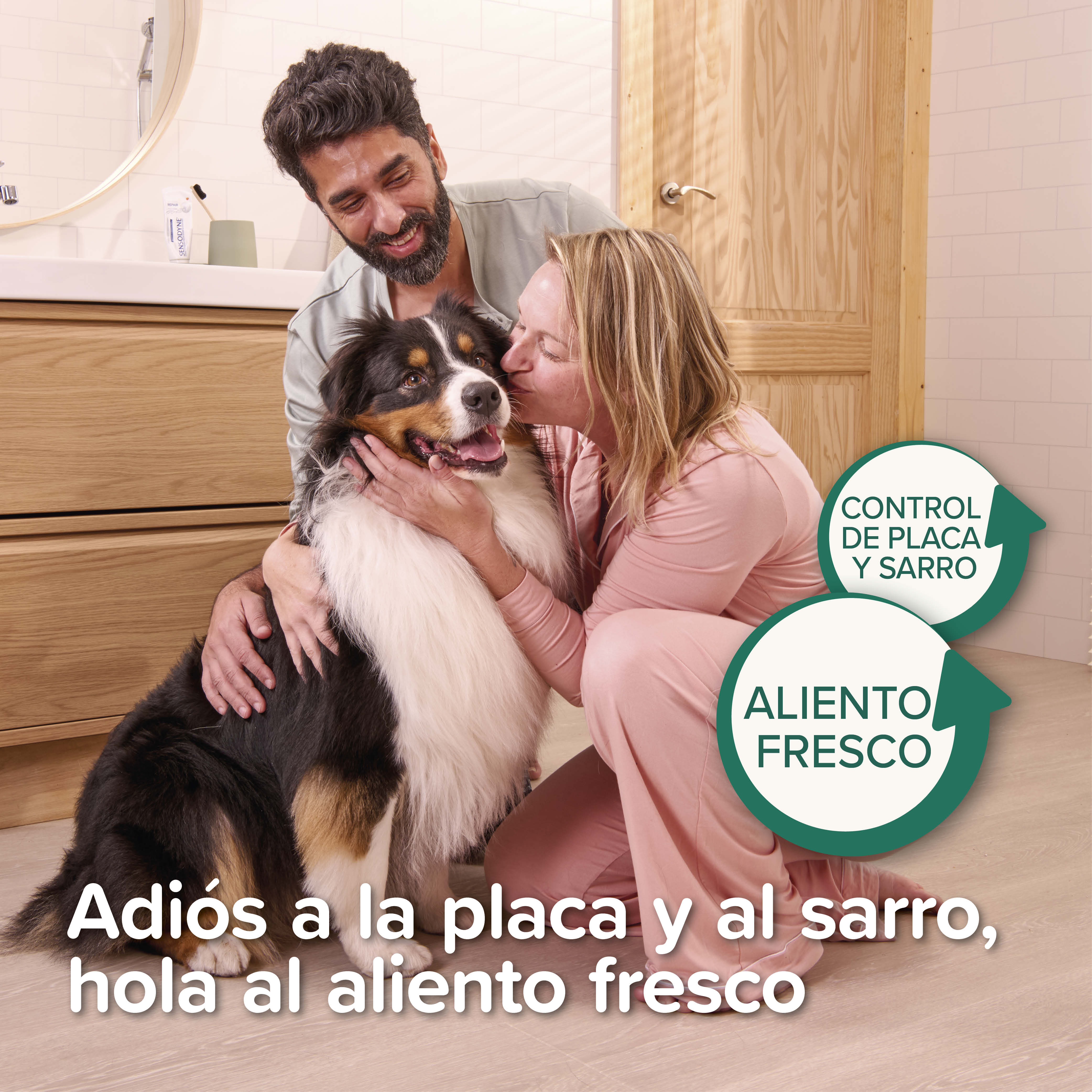 Beaphar Plaque Away Polvos Dentales Perros y Gatos - 80g