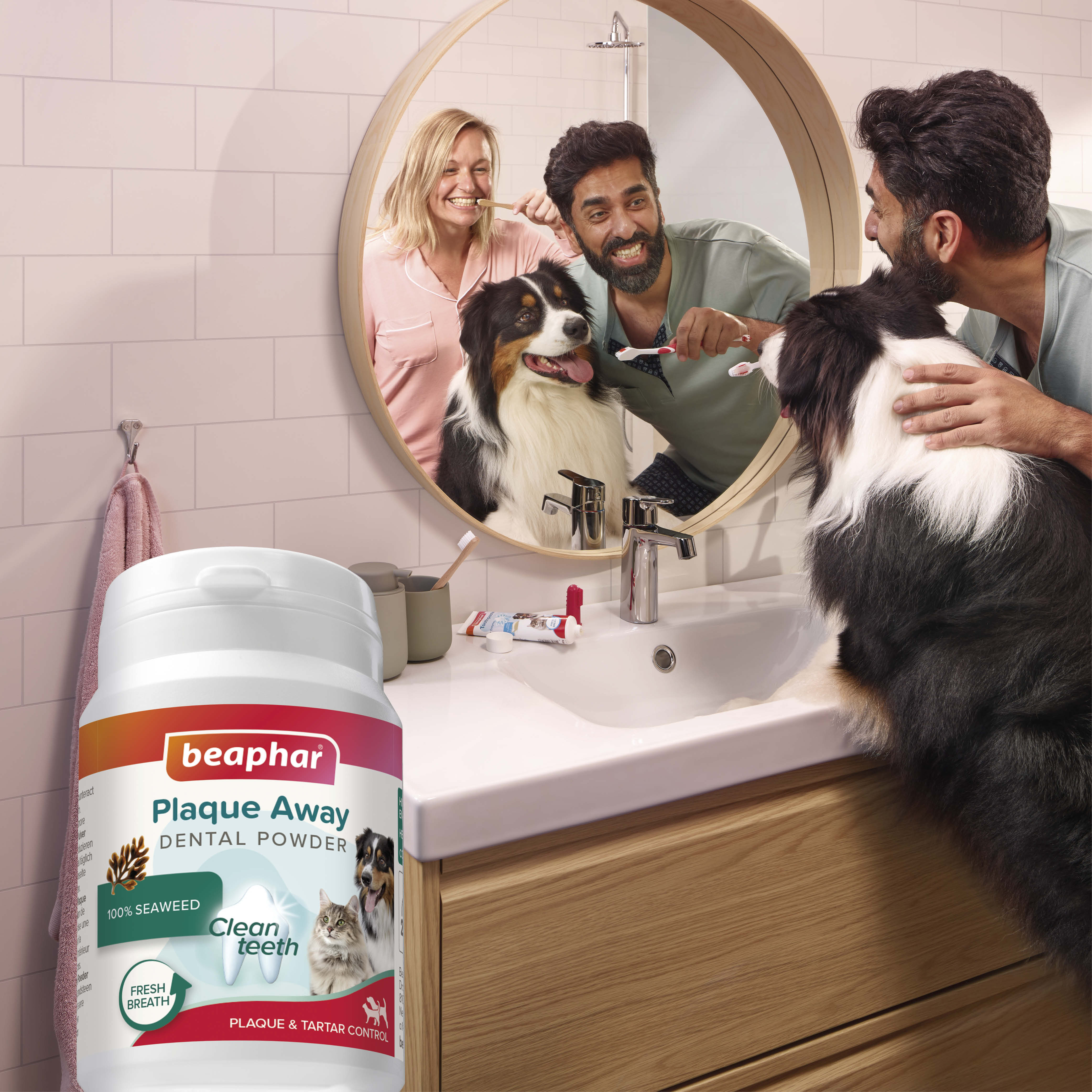 Beaphar Plaque Away Polvos Dentales Perros y Gatos - 80g