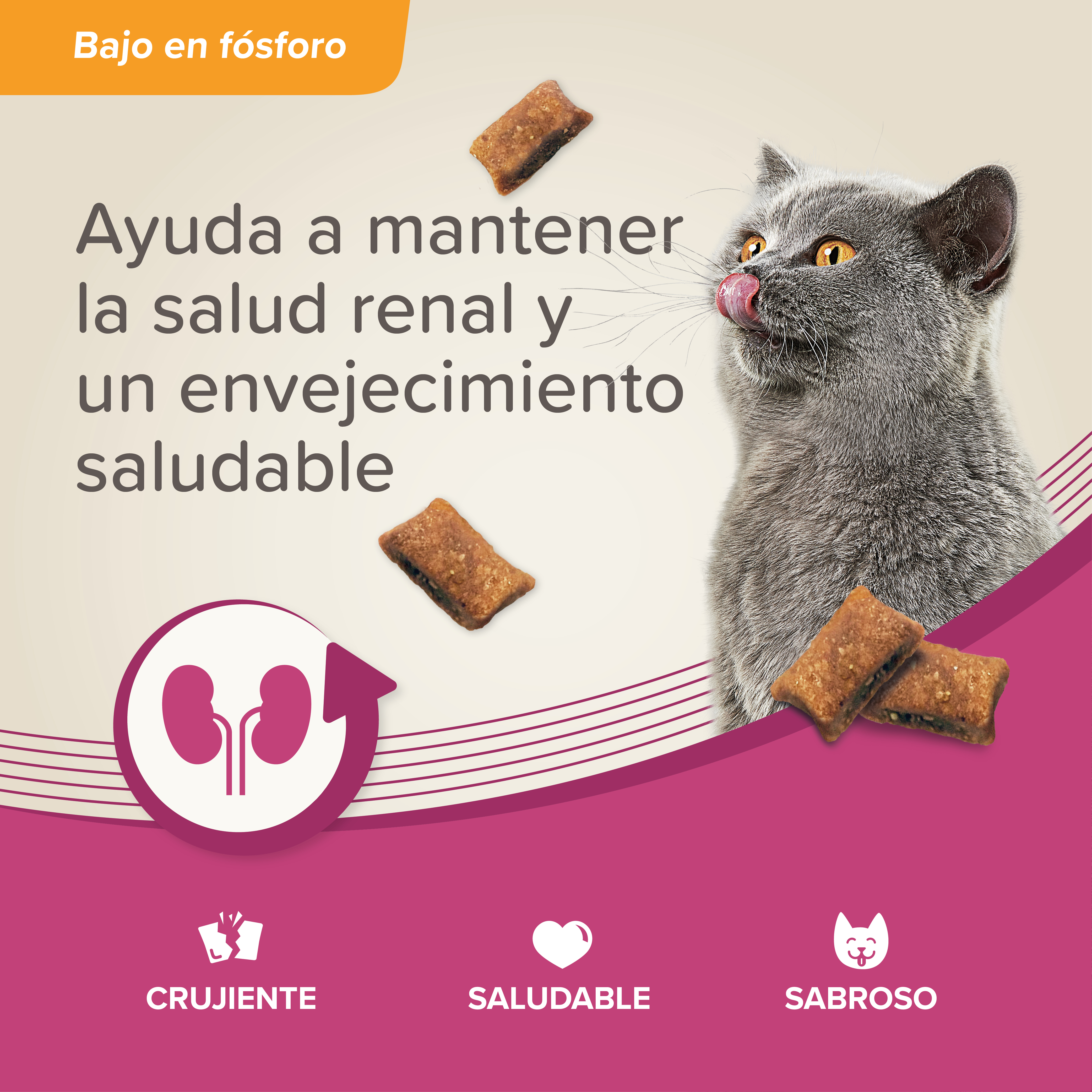 Beaphar Kidney Bits - Snack para Gatos - 60g