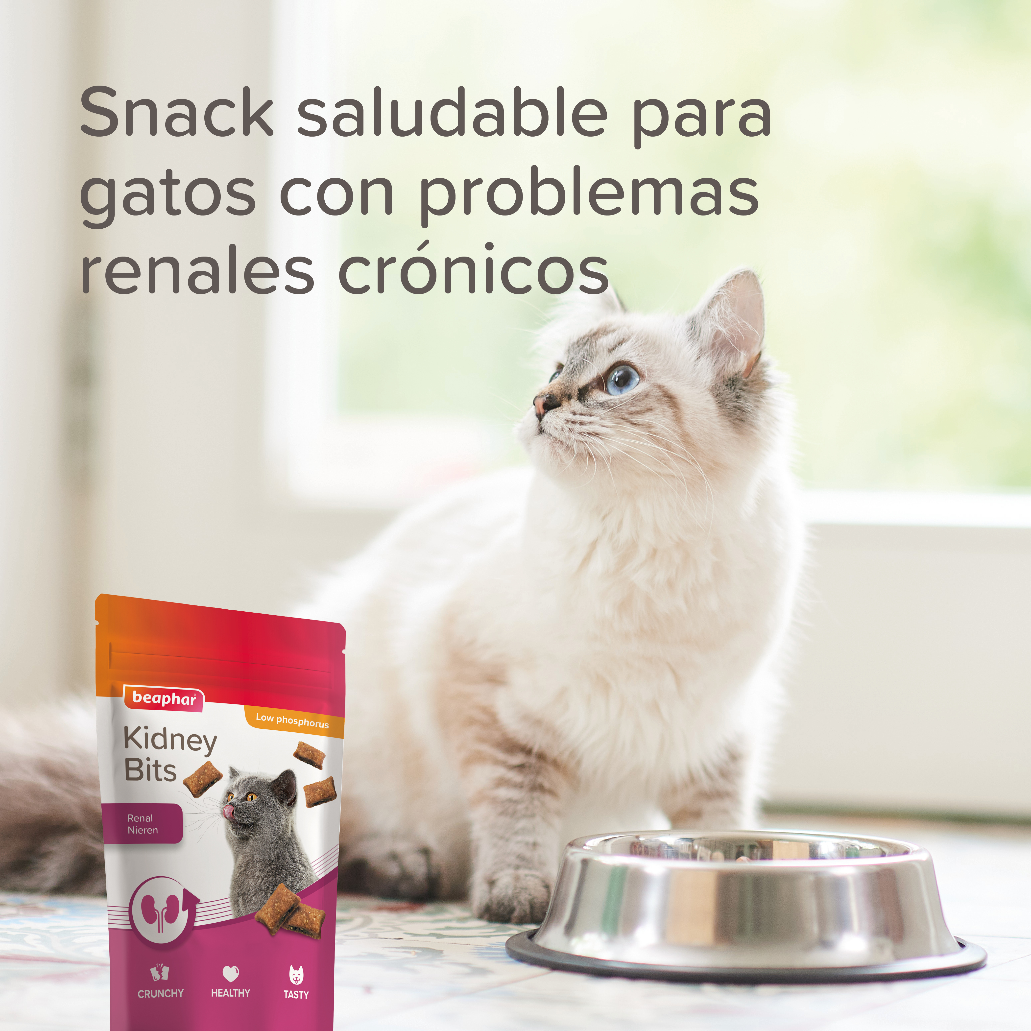 Beaphar Kidney Bits - Snack para Gatos - 60g