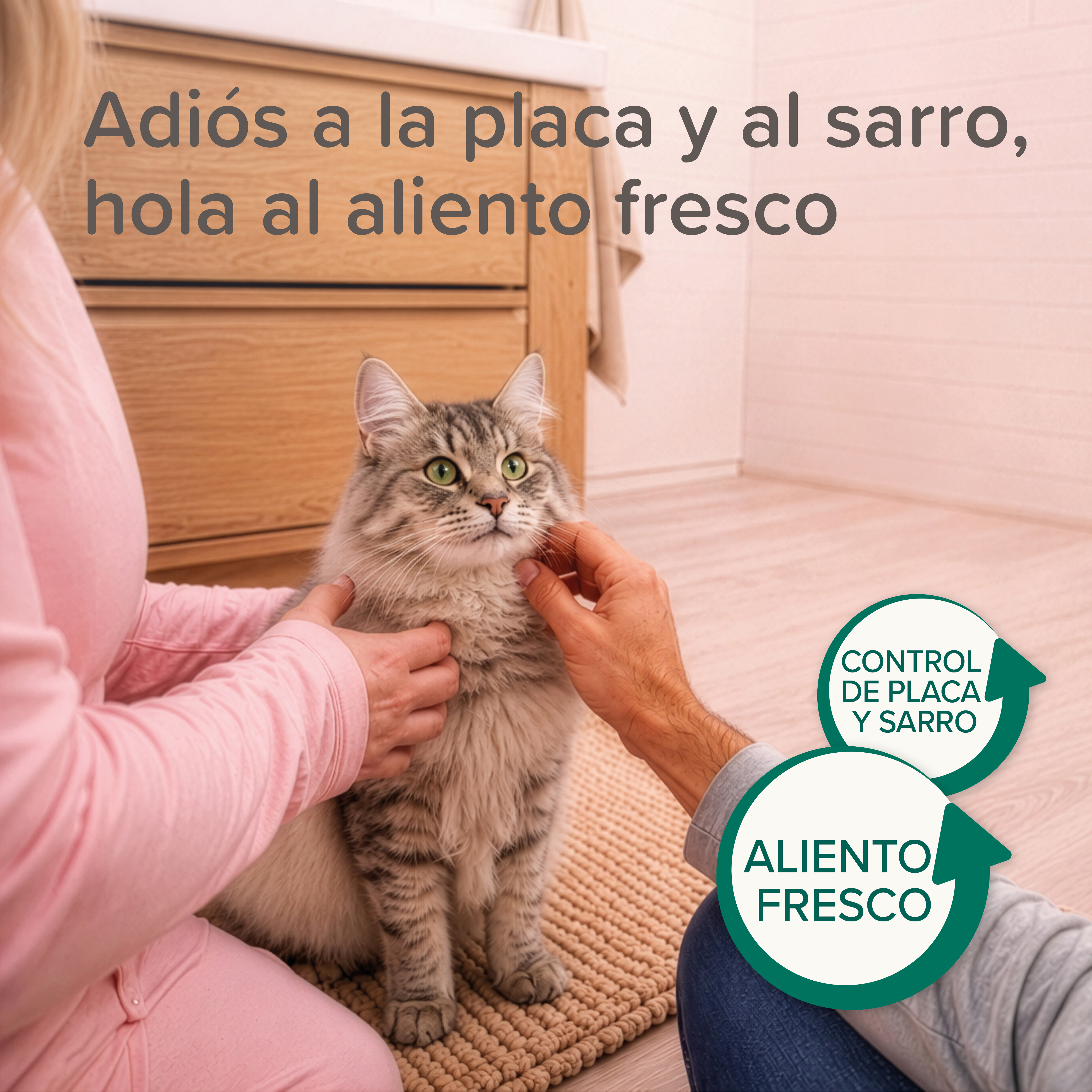 Beaphar Dental Bits - Snack para Gatos - 60g