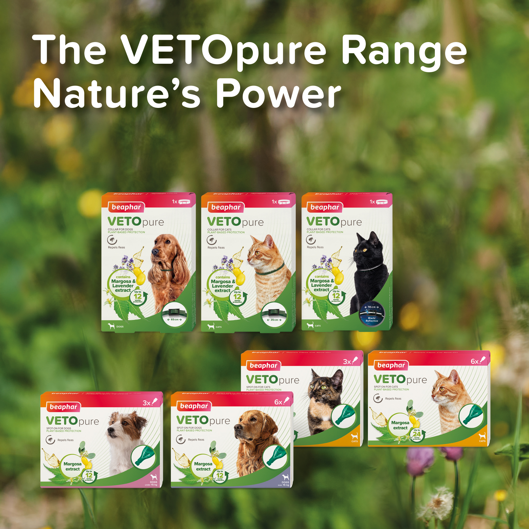 Beaphar VETOpure Plant-Based Protection Flea Spot-On for Dogs over 15 kg | 6 Pipettes