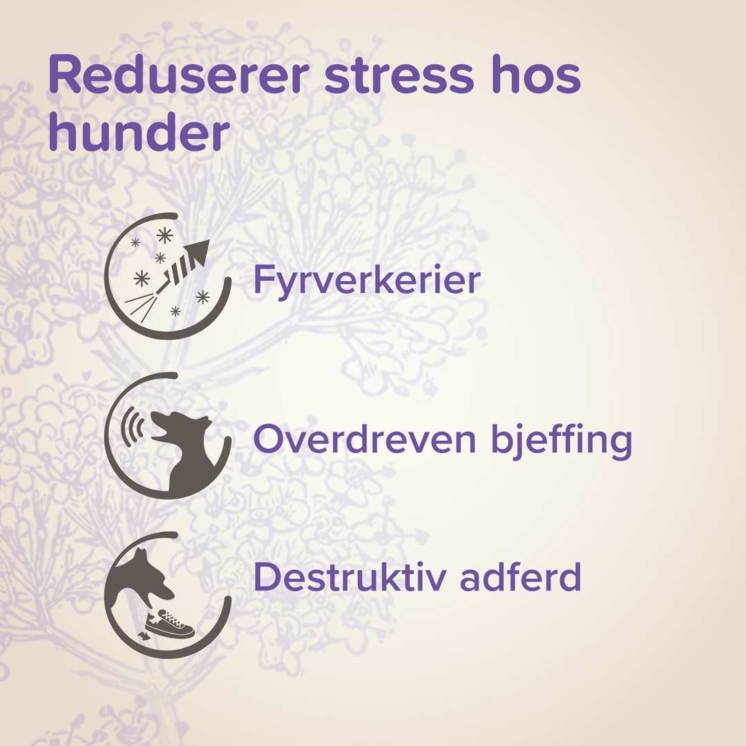 Beaphar Calming Diffuser sett hund