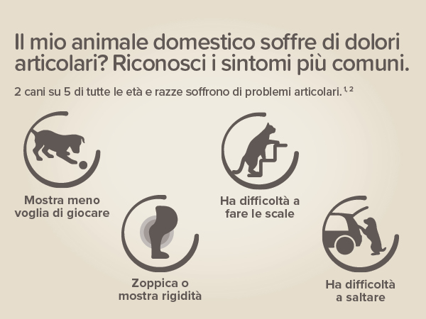 Beaphar Flexifit Treats Cane 30pz