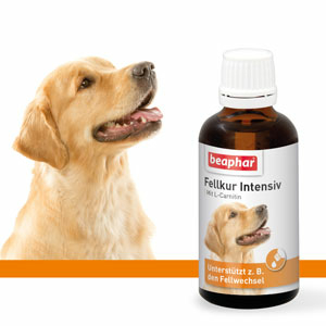 Fellkur Intensiv Hund, 50ml
