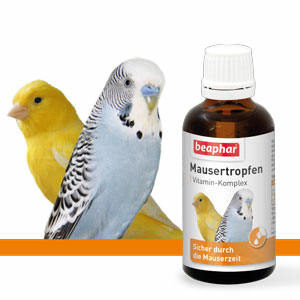 Mausertropfen, 50ml