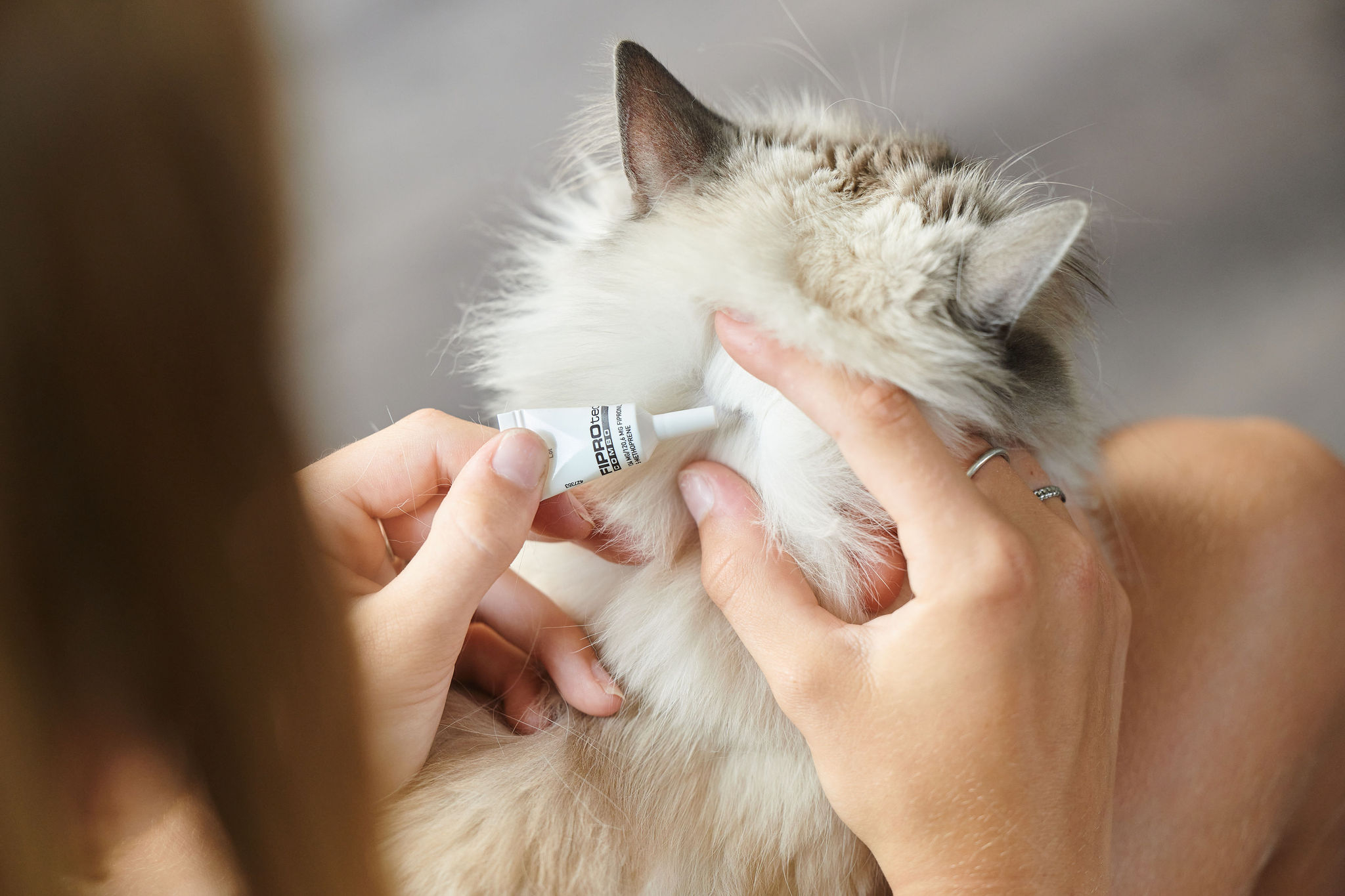 FIPROtec® Cat (6x) bolha- és kullancsirtó spot-on macskáknak