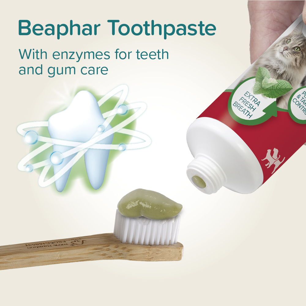 Beaphar Toothpaste Mint & Parsley Dog & Cat