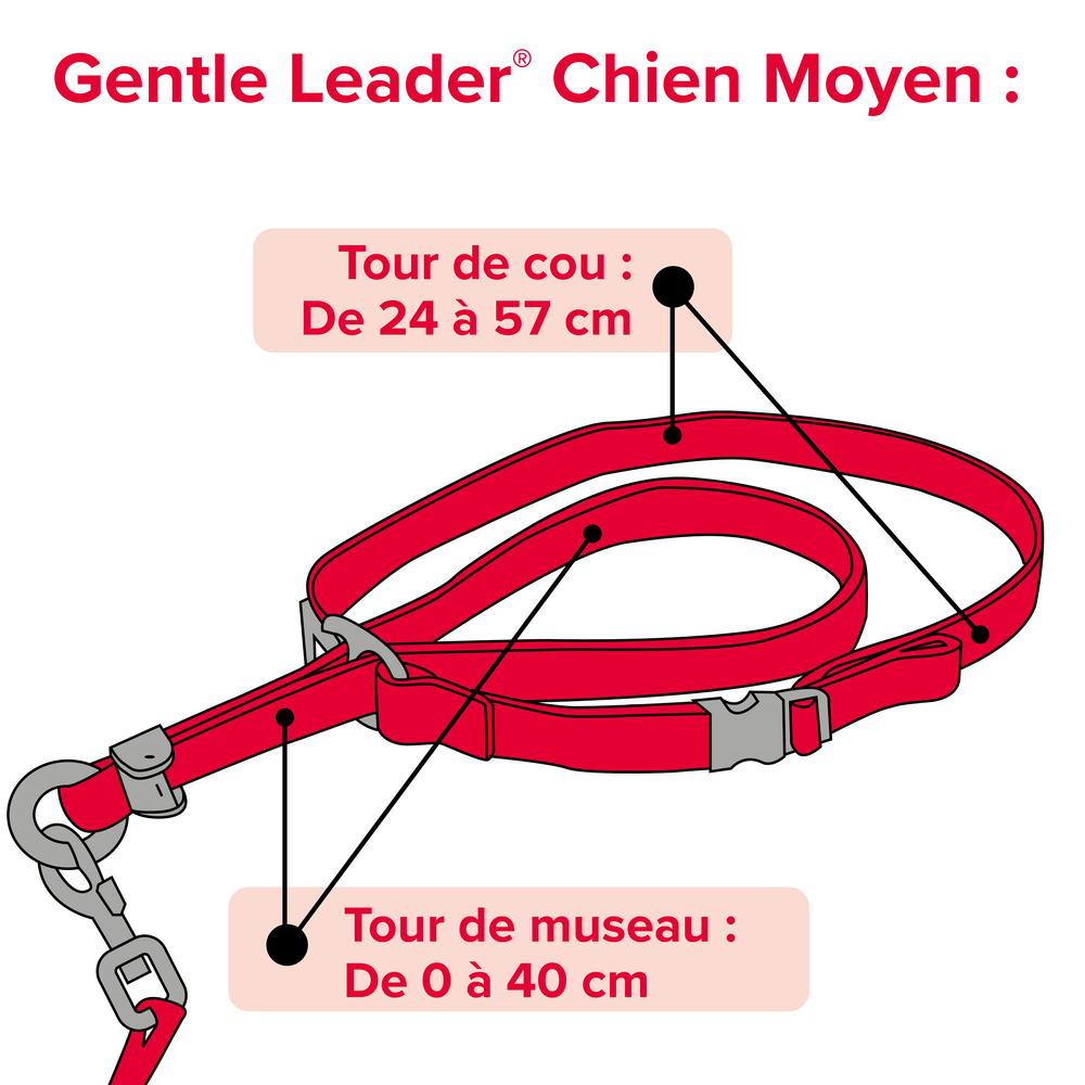 Gentle Leader, collier de dressage pour chien (M)