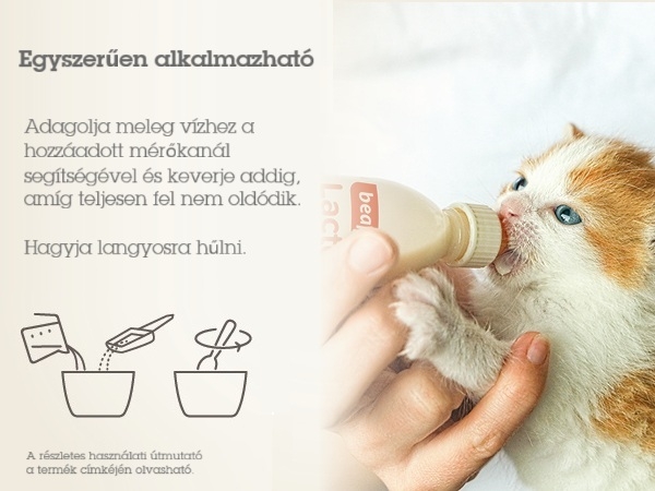Lactol Kitty tejpor