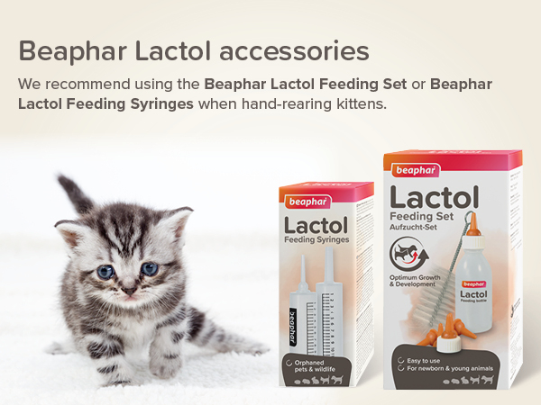 Lactol Kitty tejpor