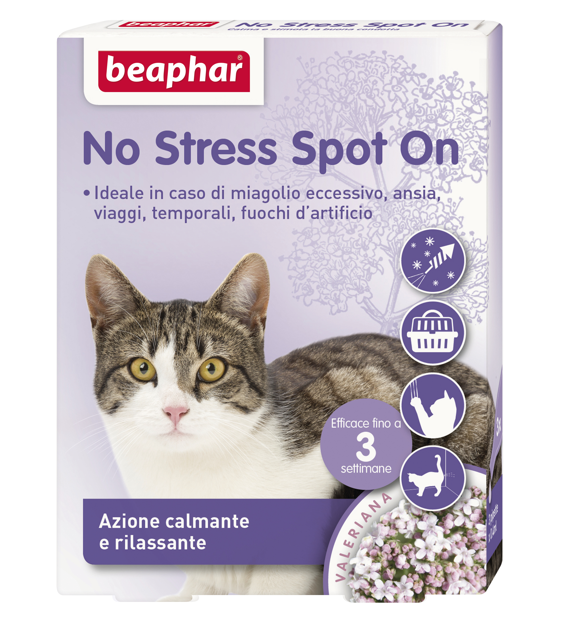 No Stress Spot on Gatto