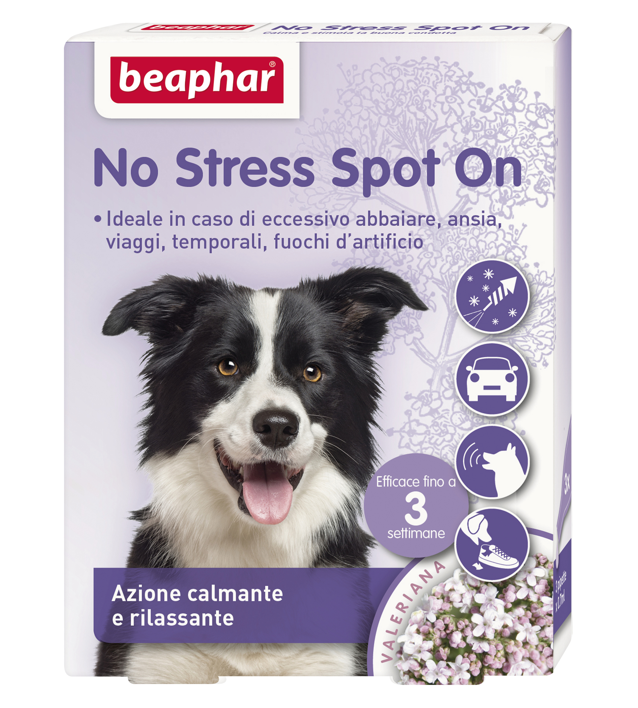 No Stress Spot on Cane