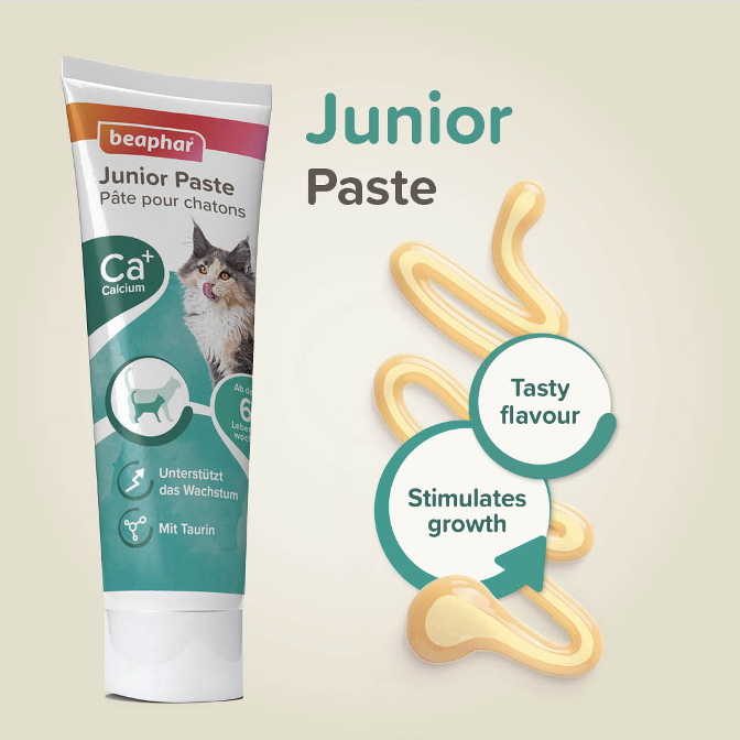 Junior Pasta pro koťata