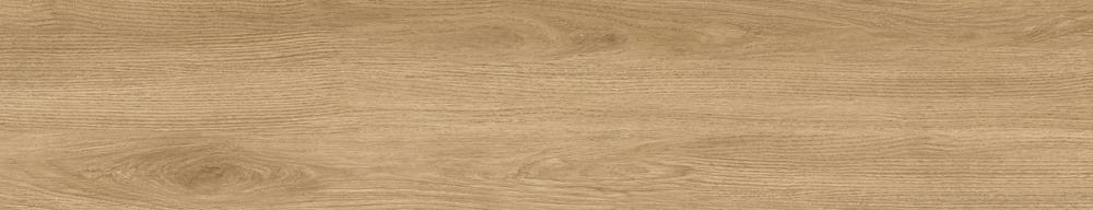 23x120(N) TU.BERNA CAMEL