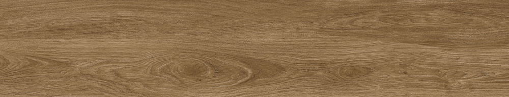 23x120(N) TU.BERNA UMBER