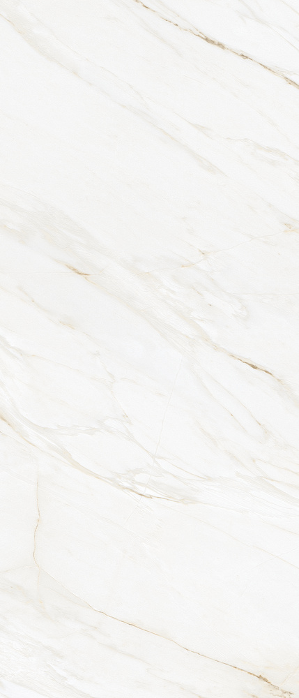 Imagen principal de producto