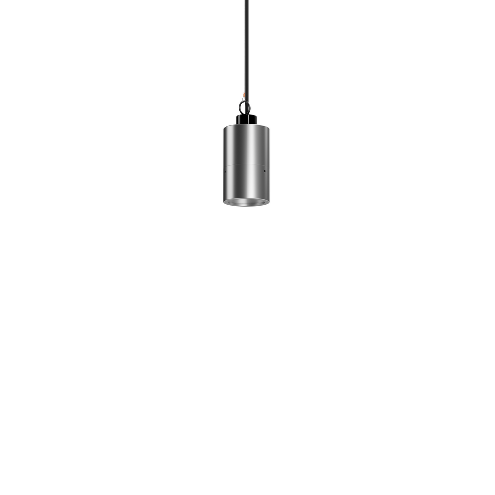 NITE STAR - Ceiling Mount - Low Voltage - LED High-Power - Pendant Mount - Wildlife Friendly